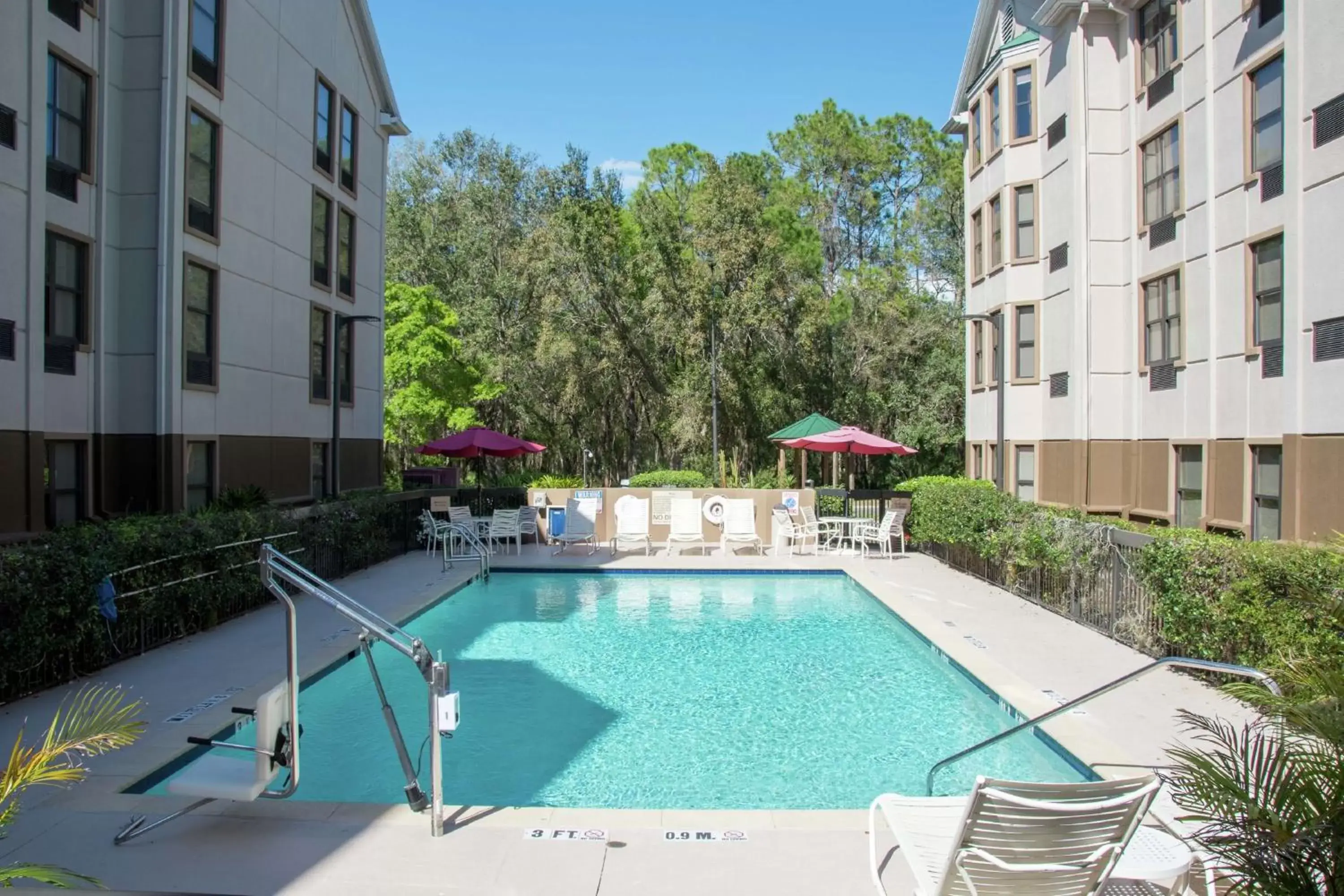 Swimming Pool in Hampton Inn & Suites Tampa-North