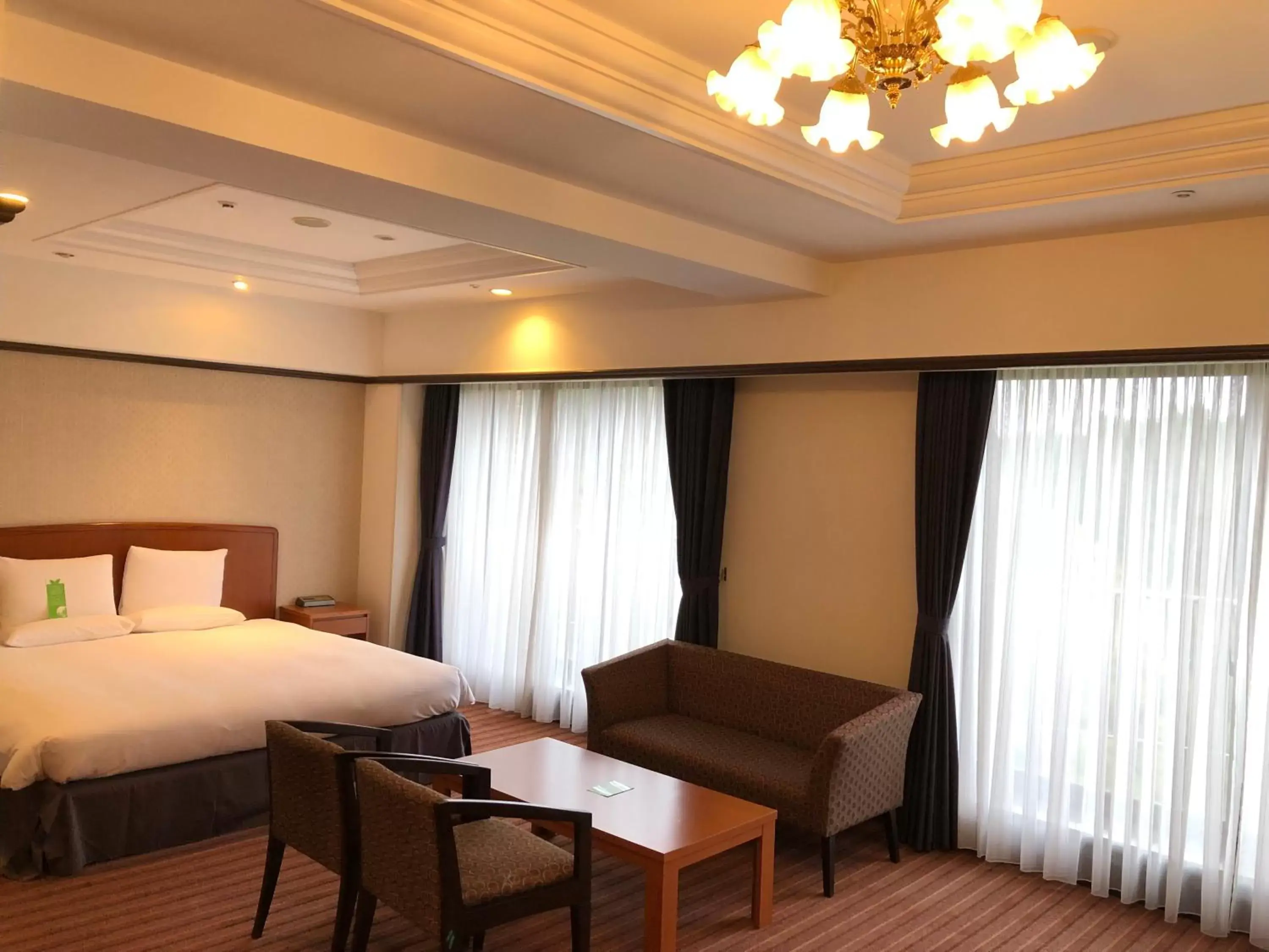 Photo of the whole room in International Garden Hotel Narita