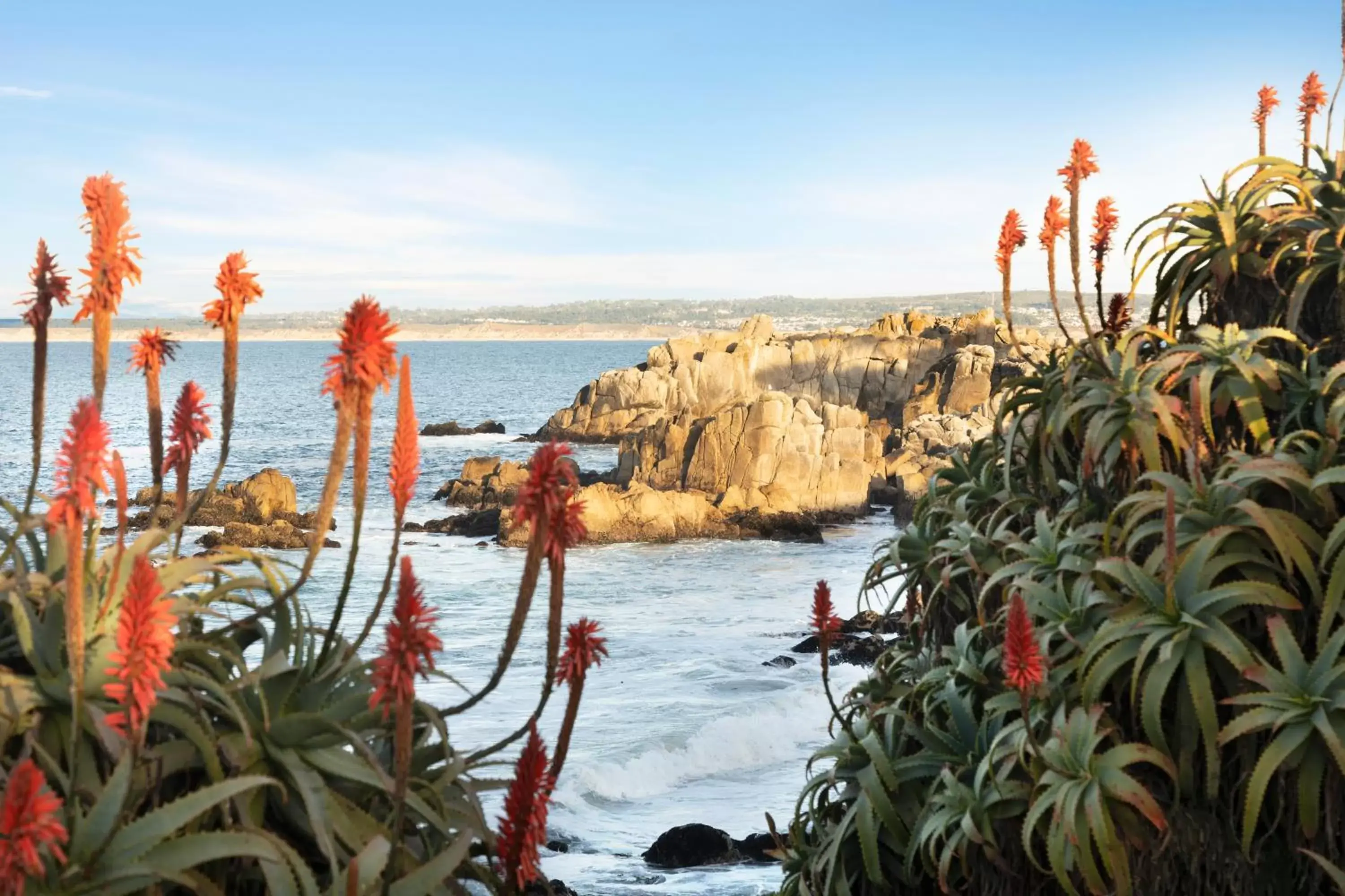 Nearby landmark, Beach in InterContinental The Clement Monterey, an IHG Hotel