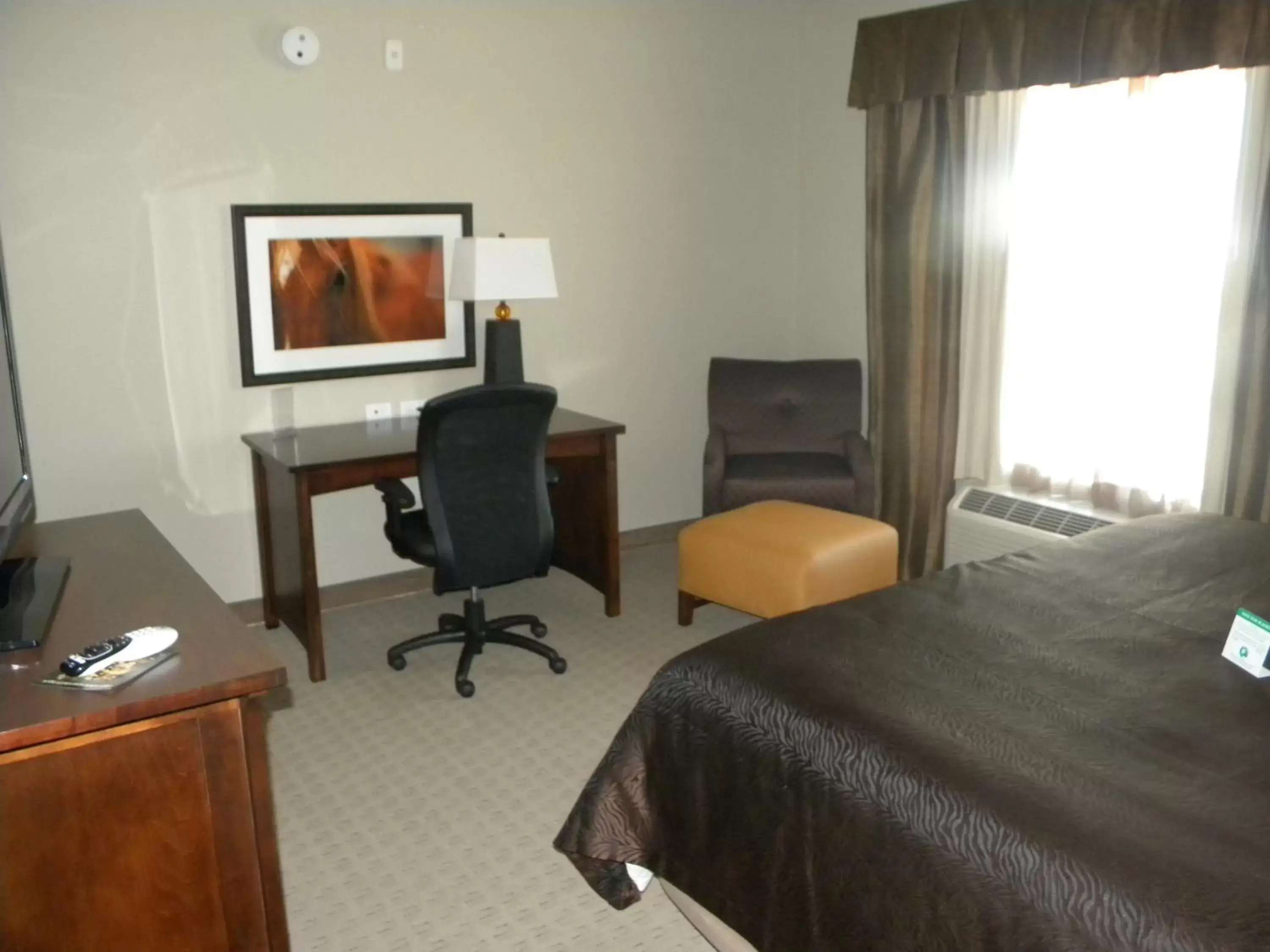 Bed in Teddy's Residential Suites Watford City