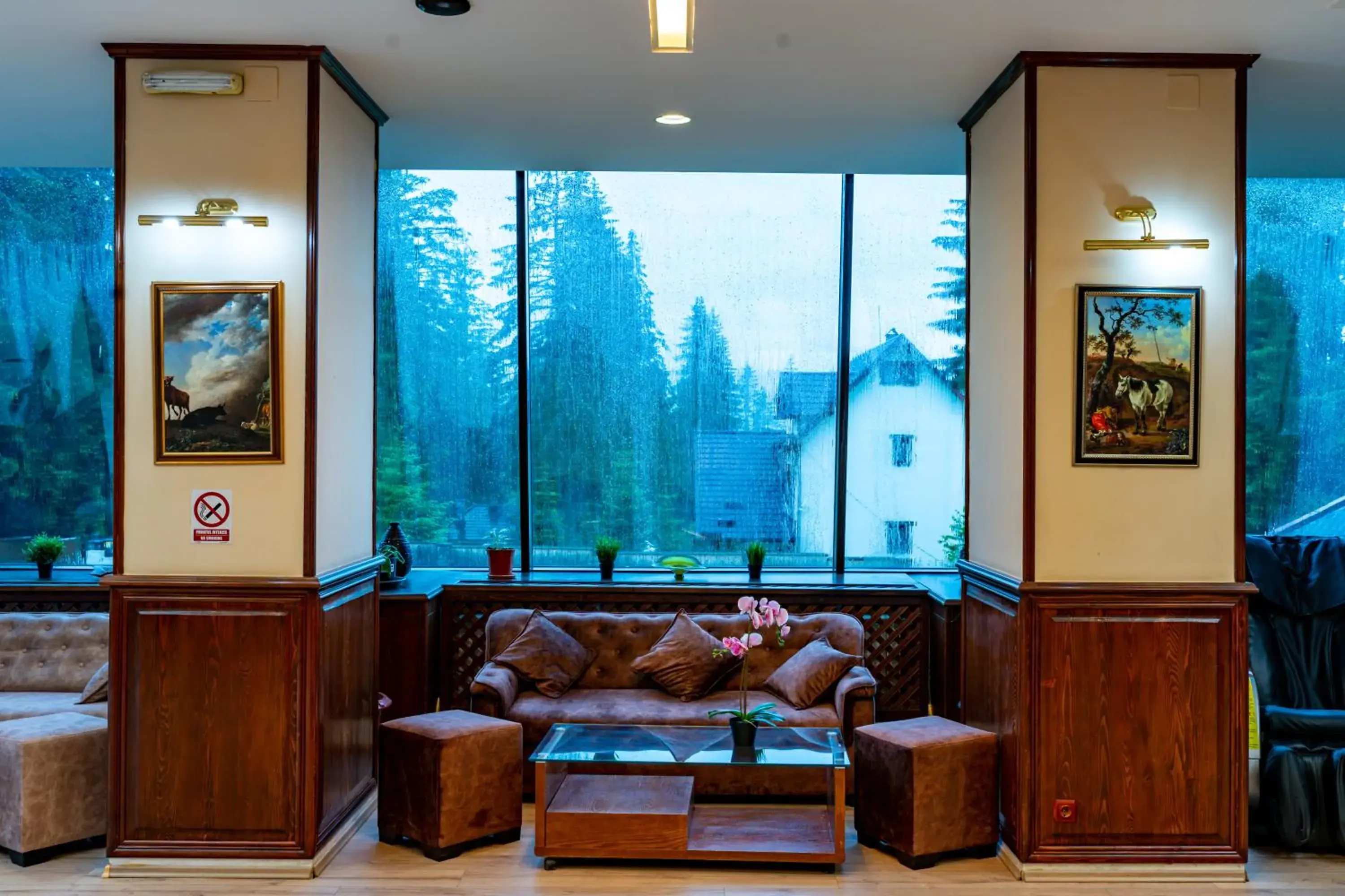 Seating Area in Hotel Belvedere