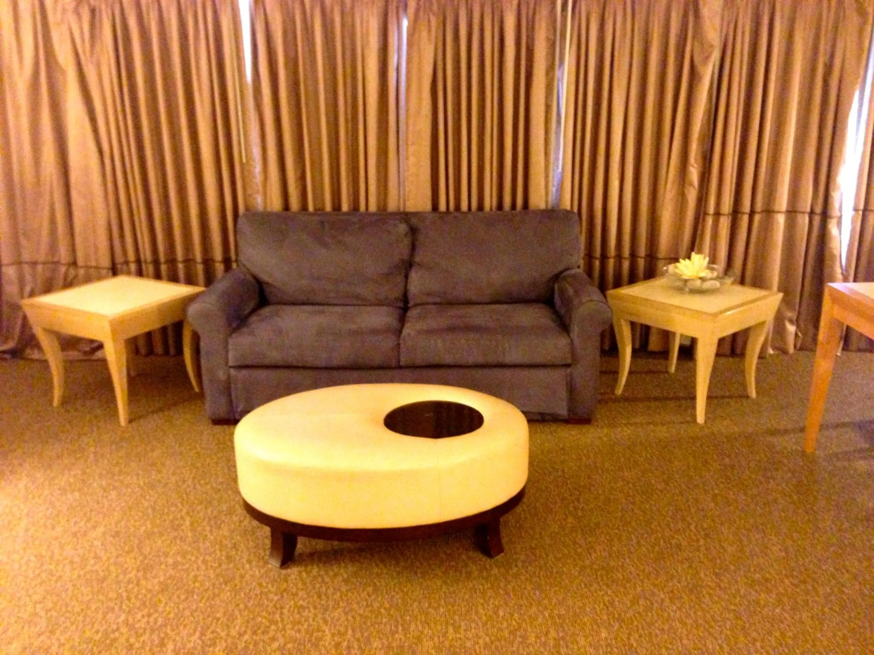 Living room, Seating Area in The Avalon Hotel and Conference Center