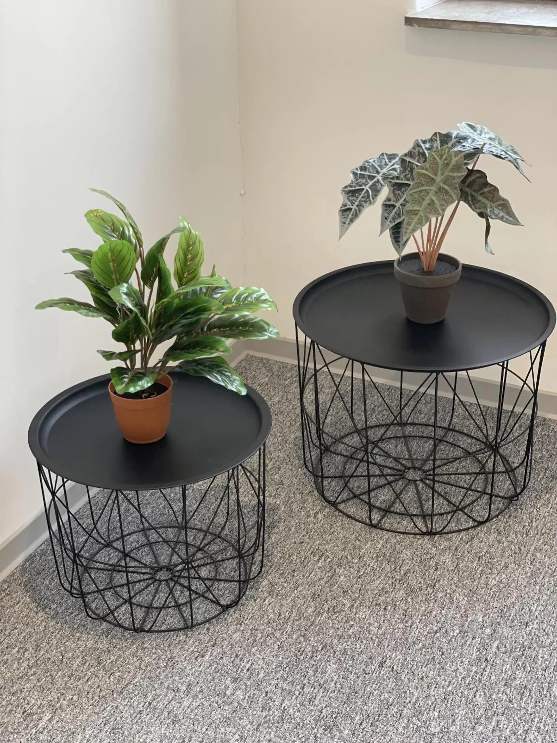 Other in Hotel-am-Bahnhof Stuttgart-Ditzingen Other in Hotel-am-Bahnhof Stuttgart-Ditzingen