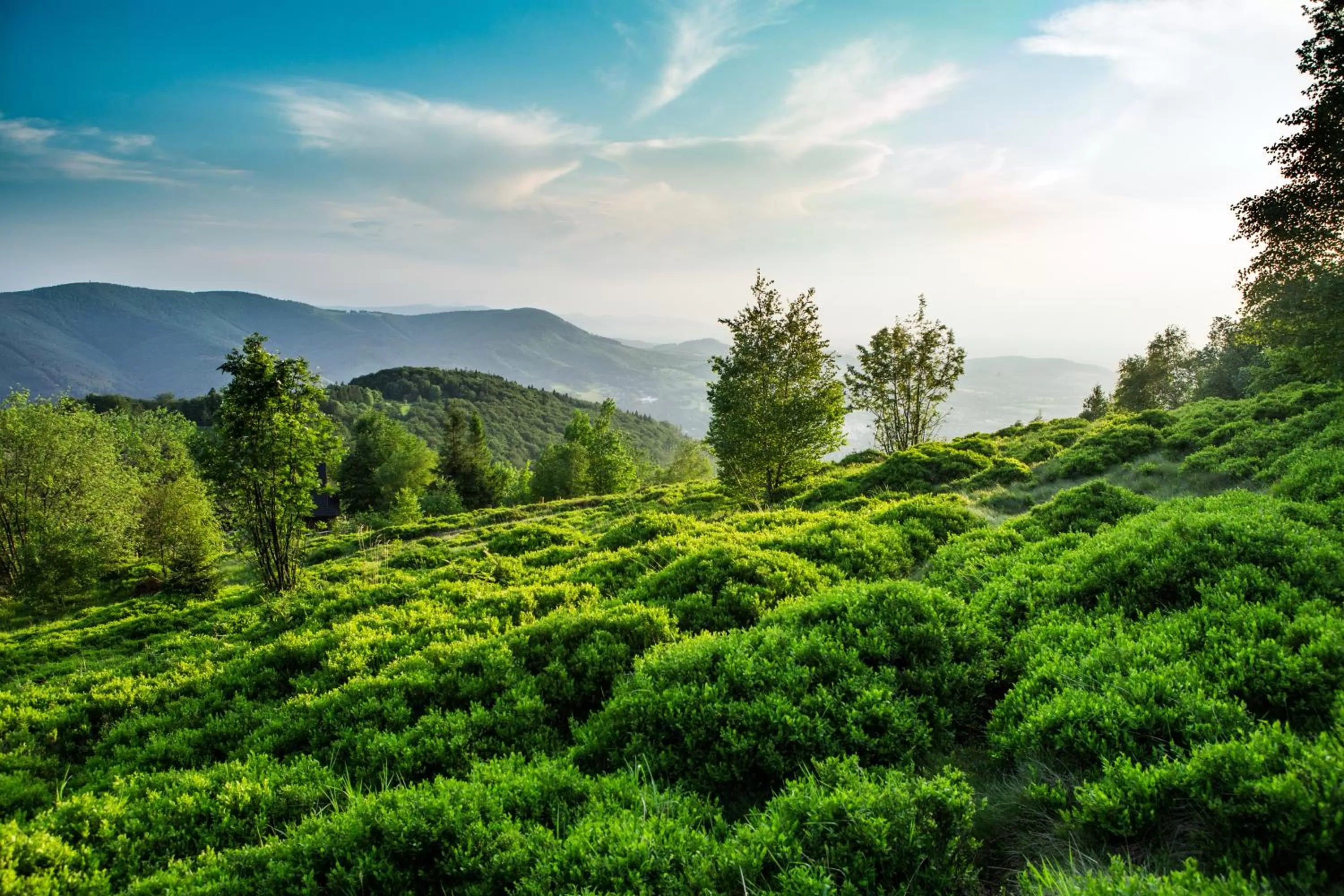 Off site in Hotel Olympic Spa & Wellness