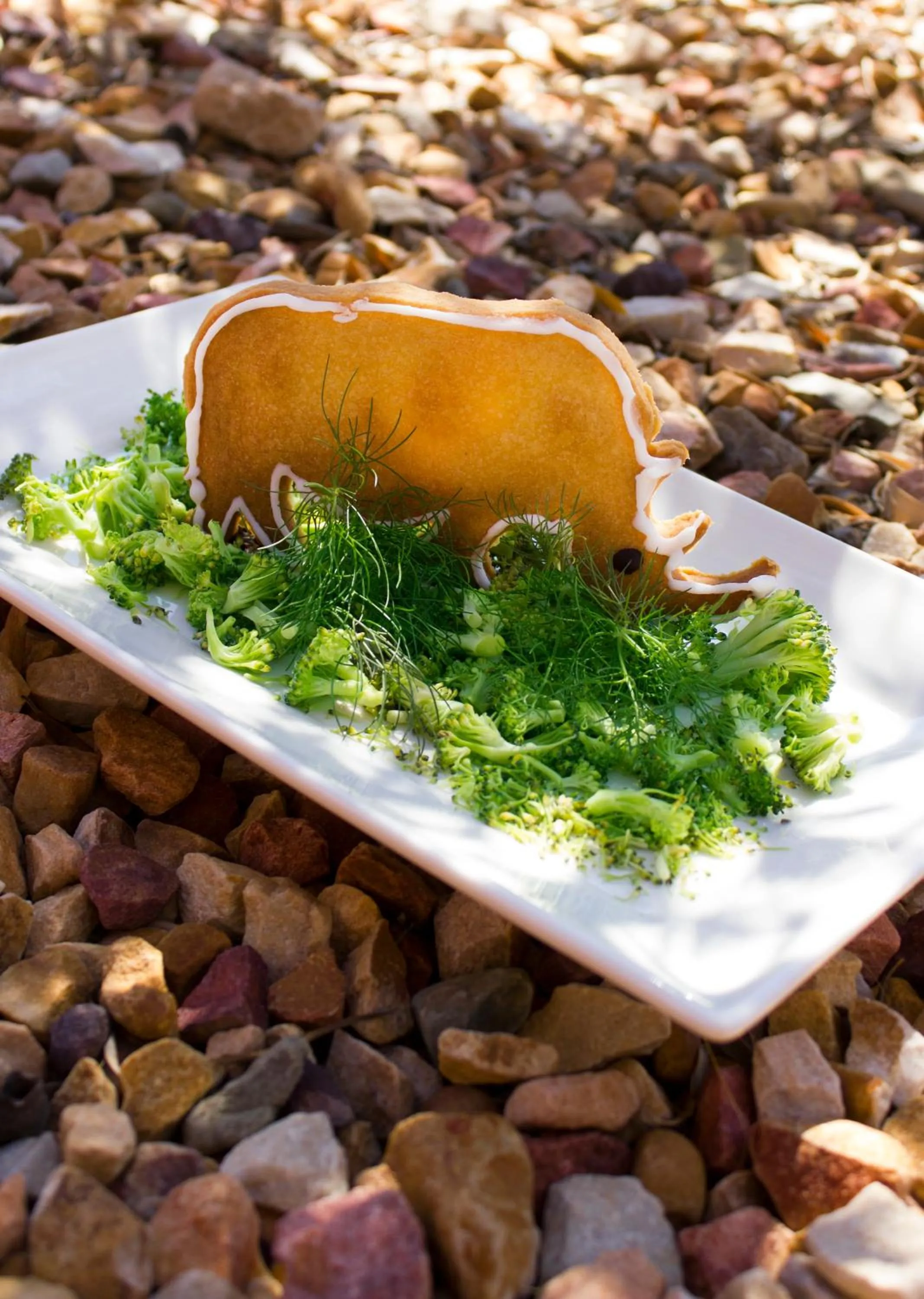 Food close-up in Sanbona Wildlife Reserve