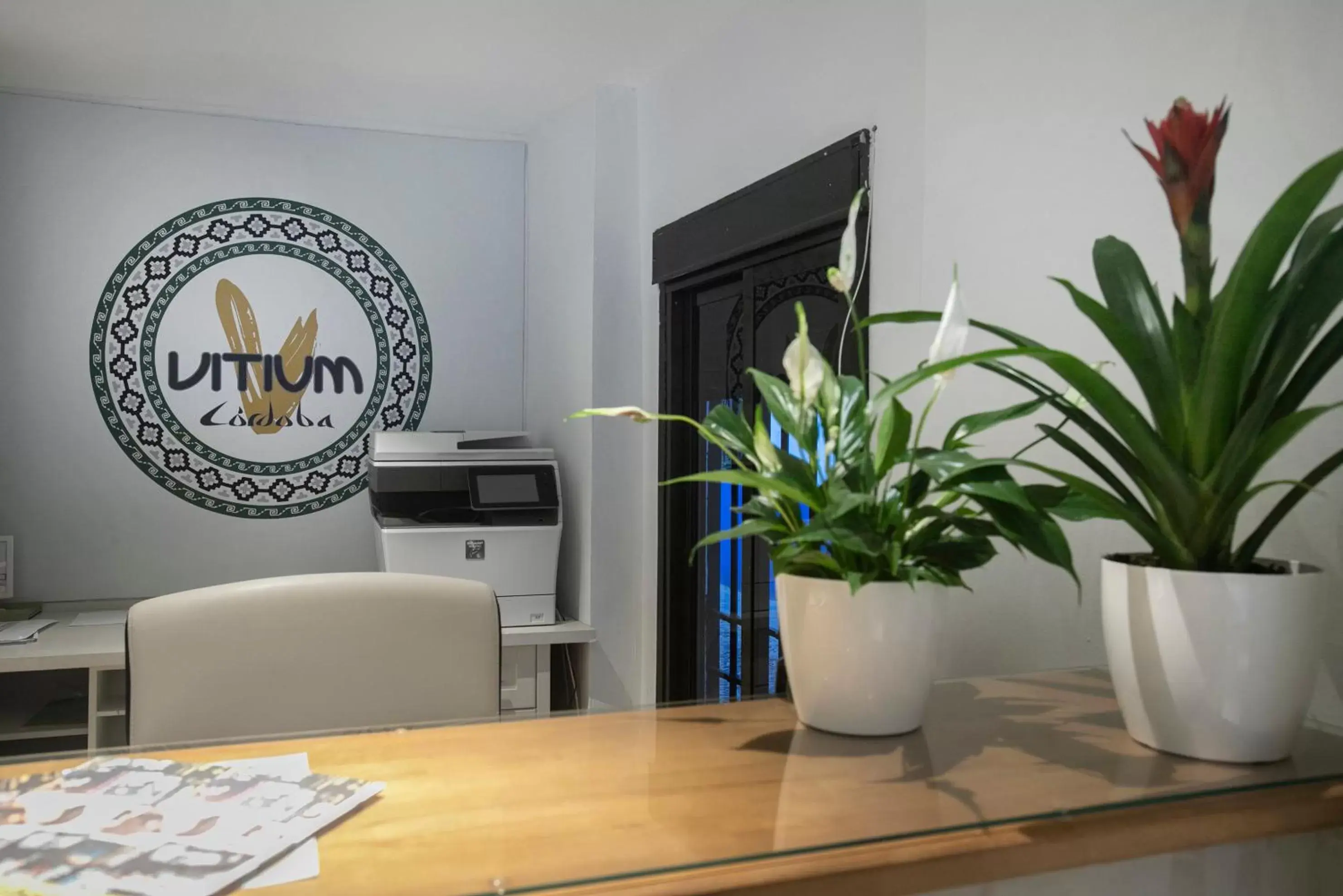 Lobby or reception in Vitium Córdoba Lobby or reception in Vitium Córdoba