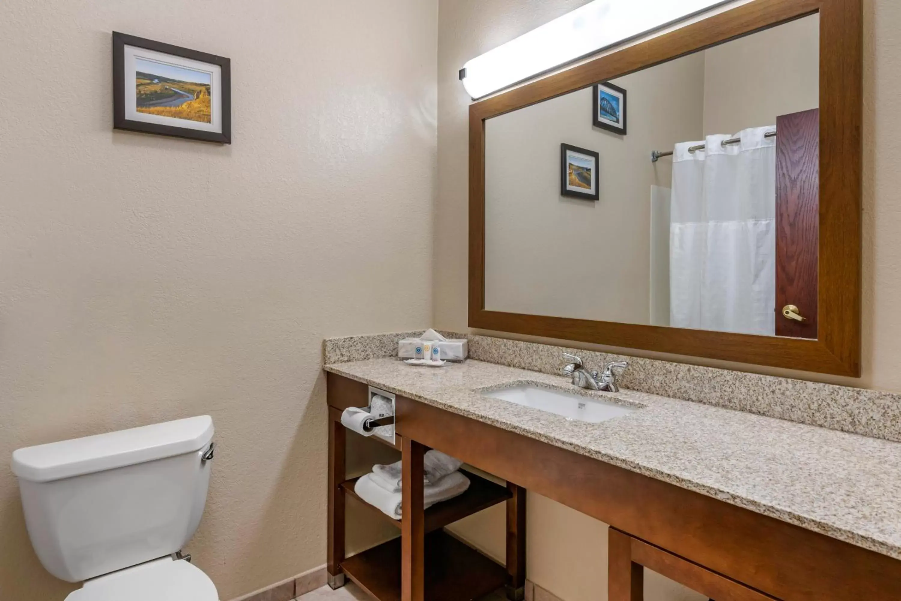 Bathroom in Comfort Inn & Suites St Louis-O'Fallon