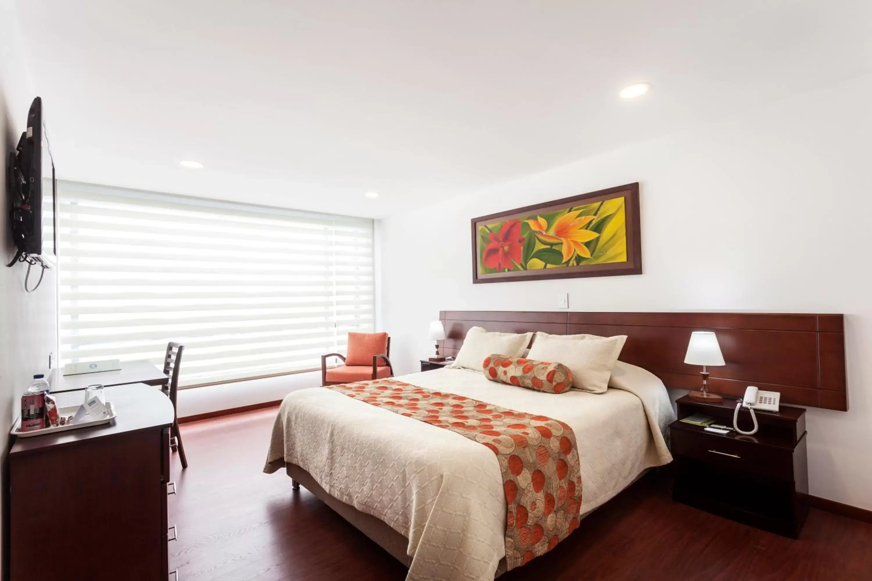 Double Room - single occupancy in Hotel Cuellars Double Room - single occupancy in Hotel Cuellars