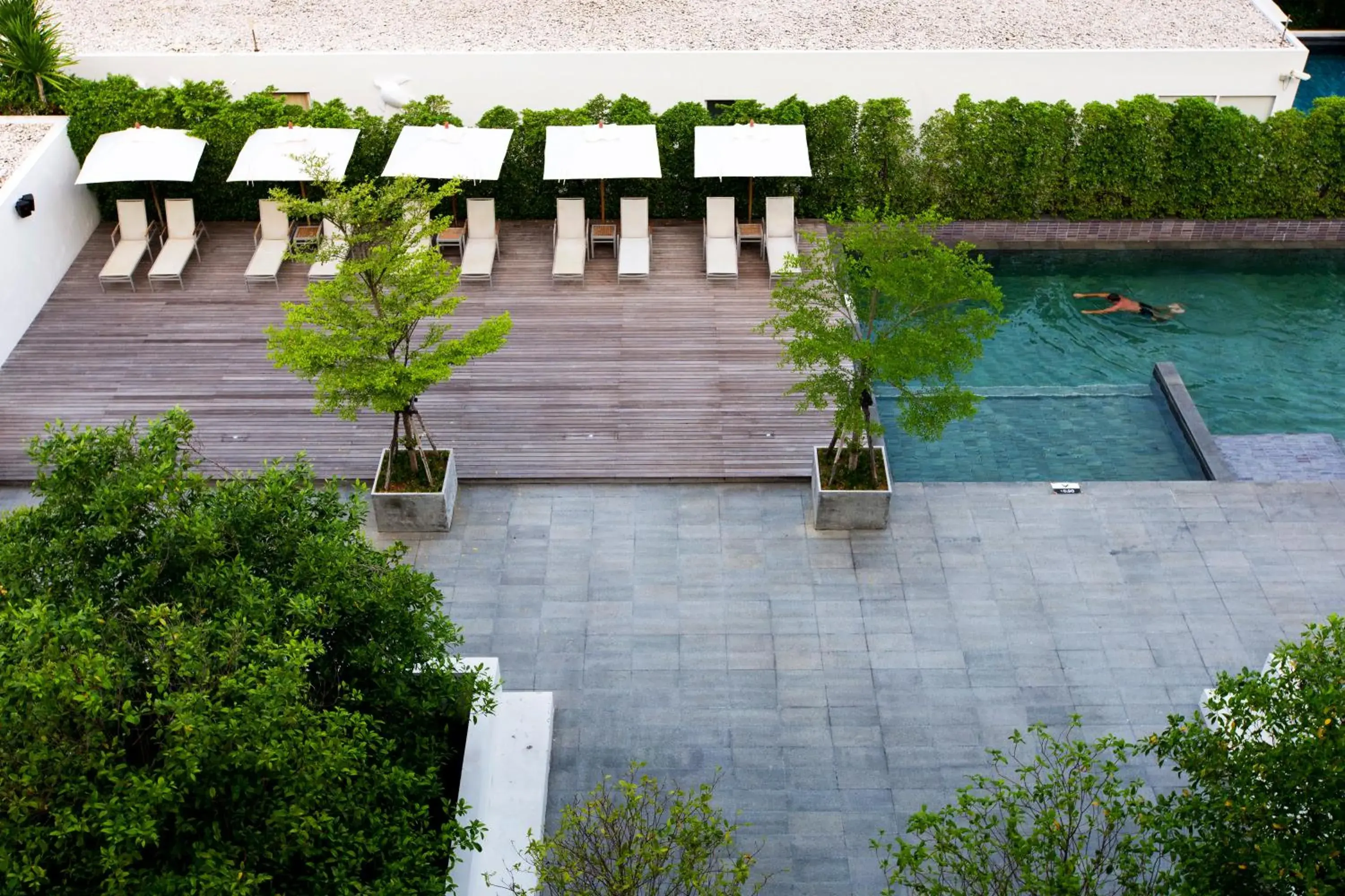 Swimming pool in Nap Patong Swimming pool in Nap Patong