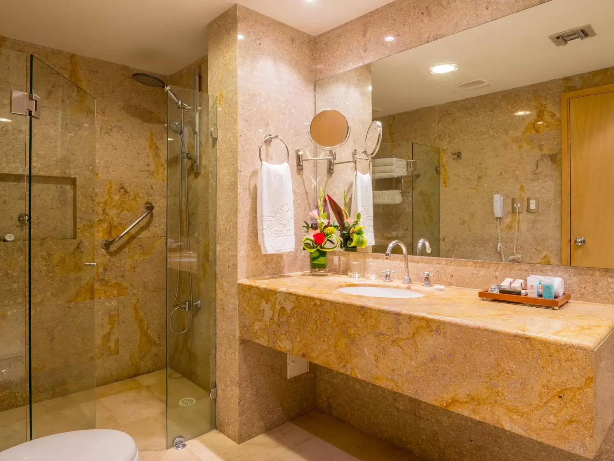 Shower, Bathroom in Hotel Las Americas Casa de Playa