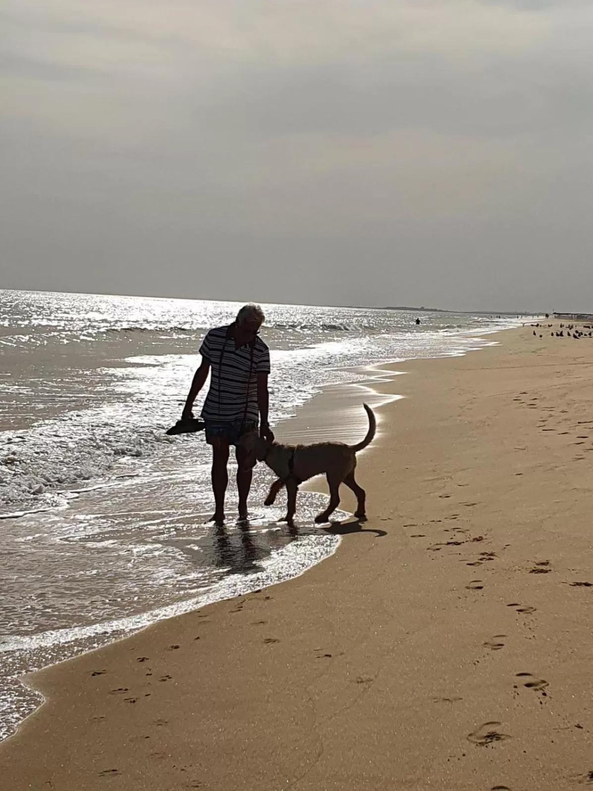 Beach in Suites Sunny hill