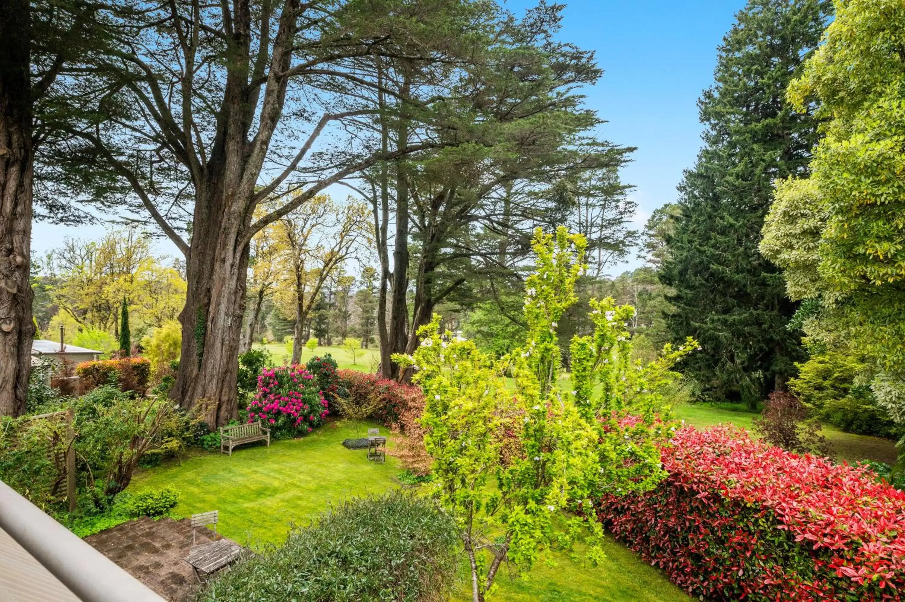 Natural landscape, Garden in Parklands Country Gardens & Lodges Blue Mountains