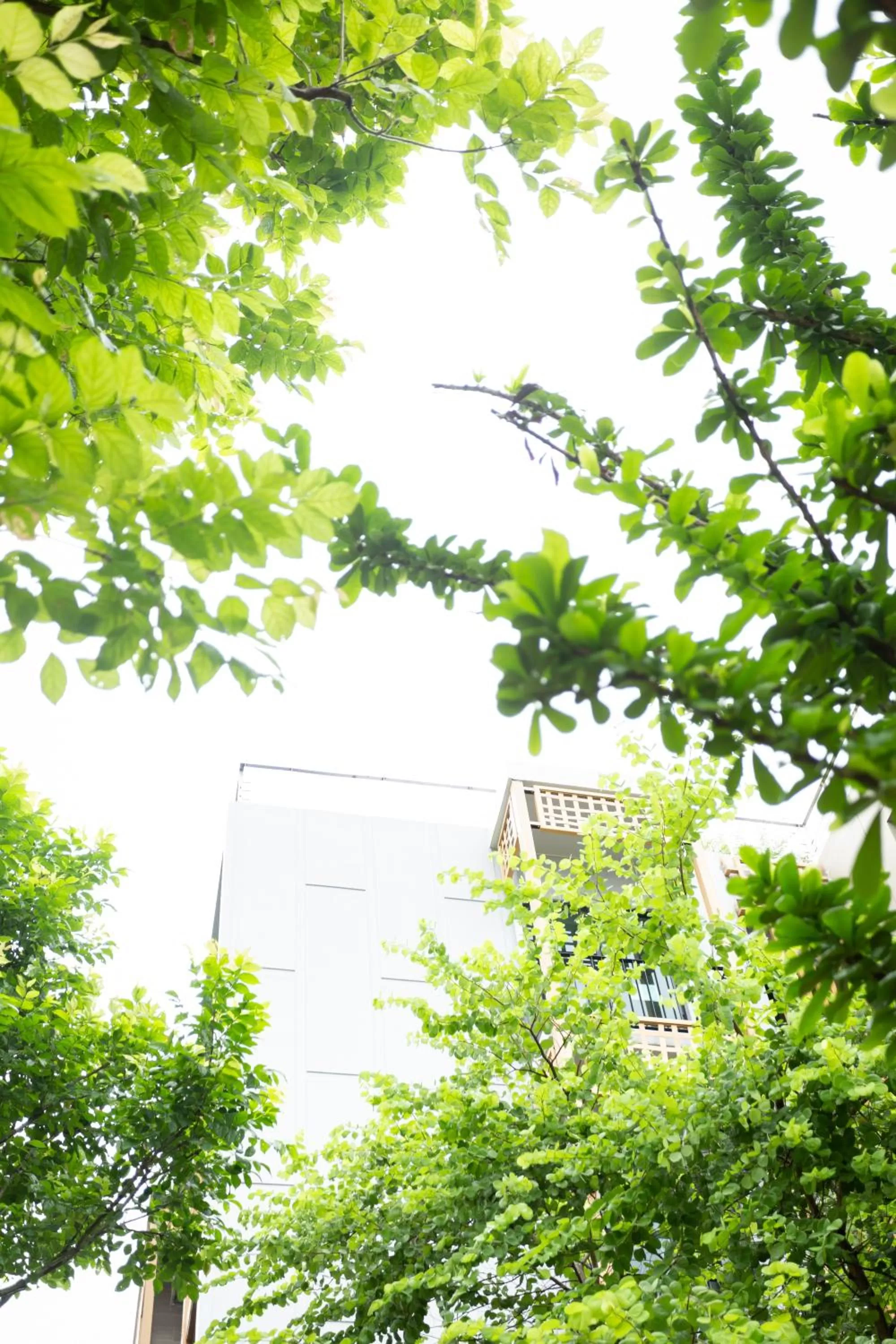 Garden in SHAN Villas Sukhumvit