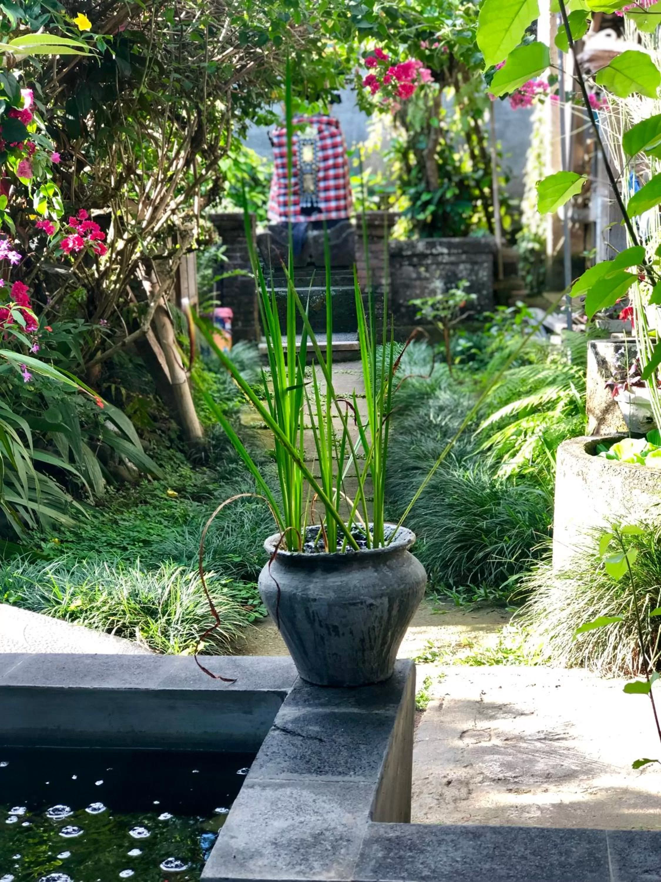 Garden in The Hidden Bali Inn