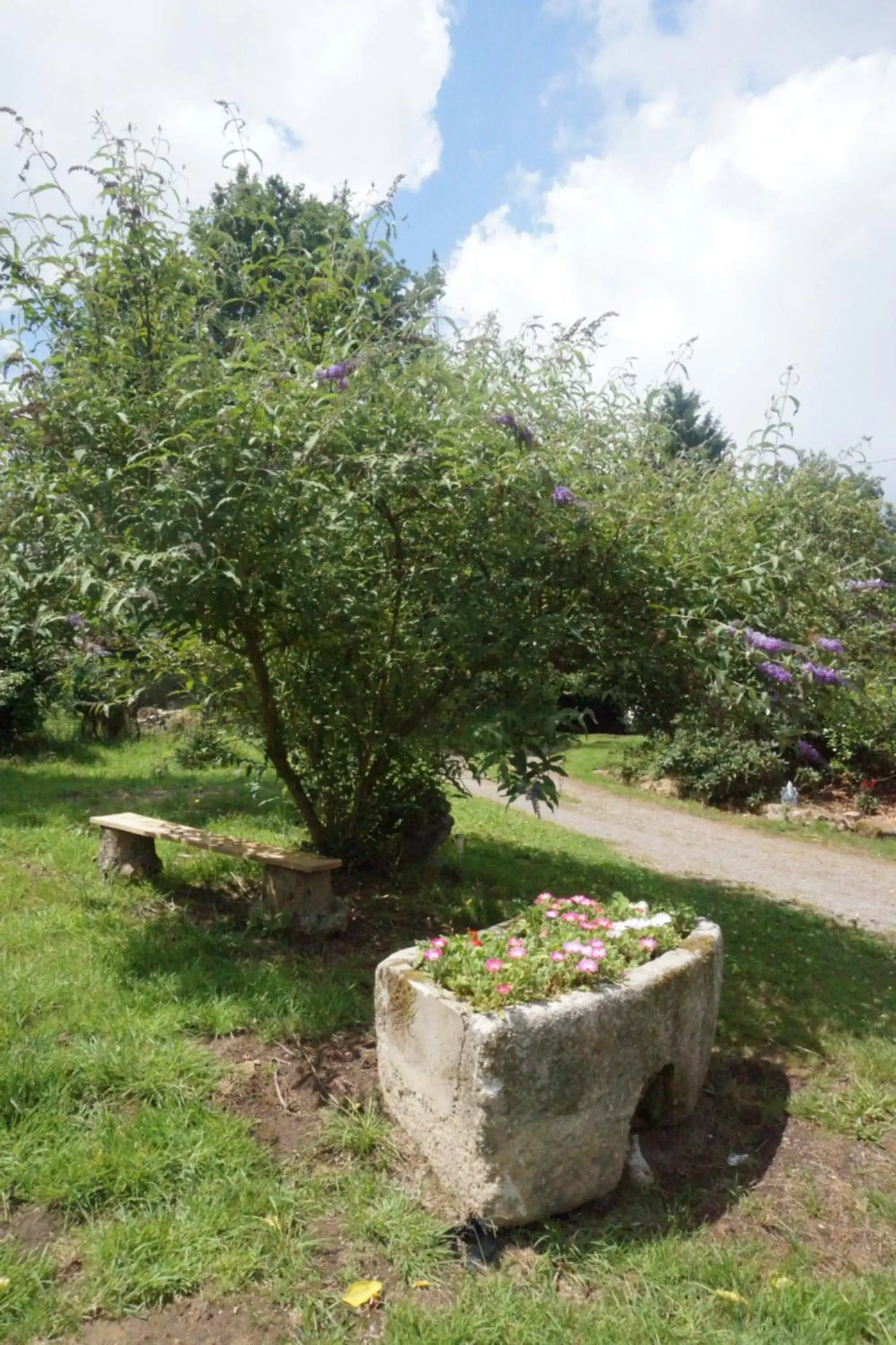 Garden view, Garden in Maison du Murphy