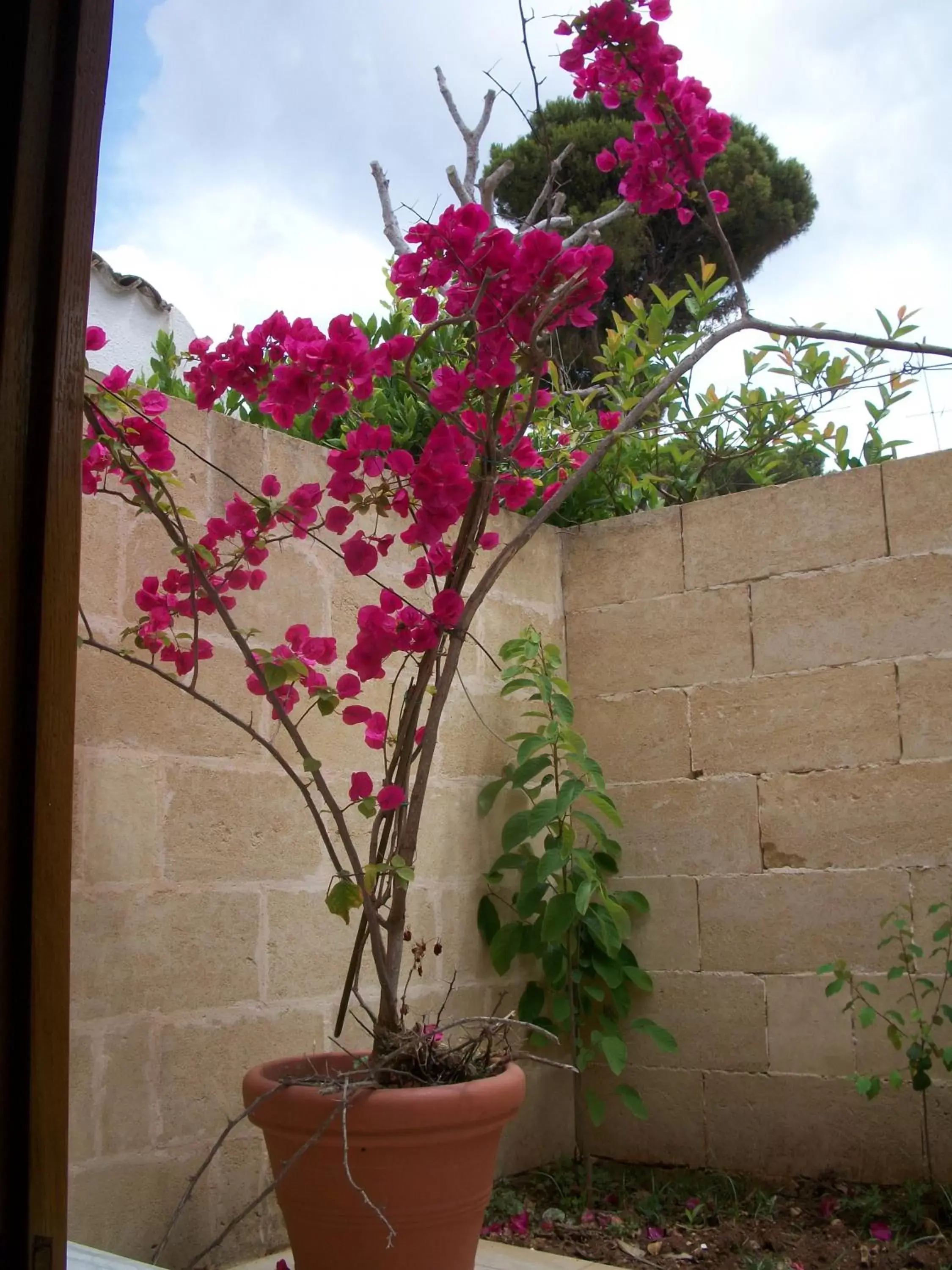 Balcony/Terrace in La Corte di Leuca Residence & SPA