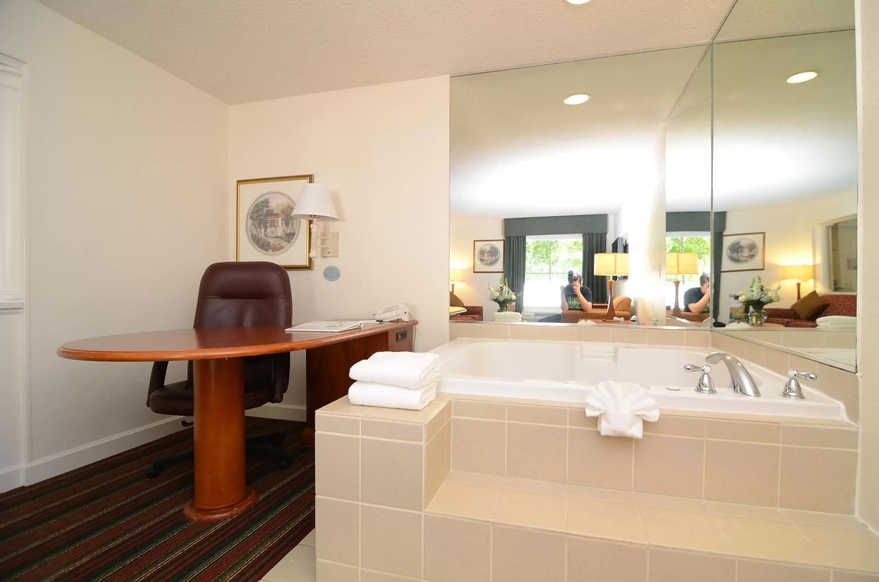 Bath, Bathroom in Quality Inn & Suites Biltmore East