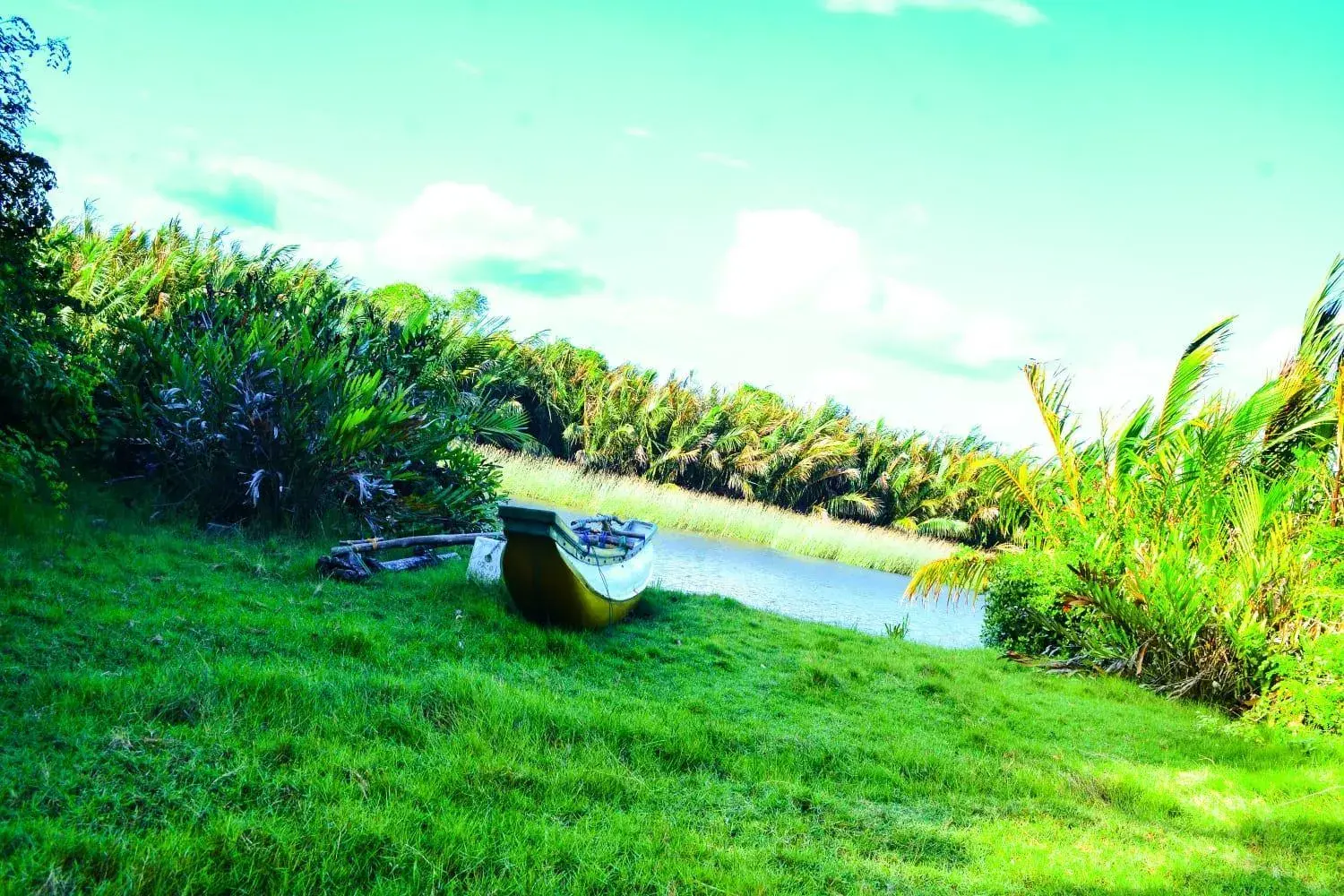 Natural landscape in Helios Beach Resort