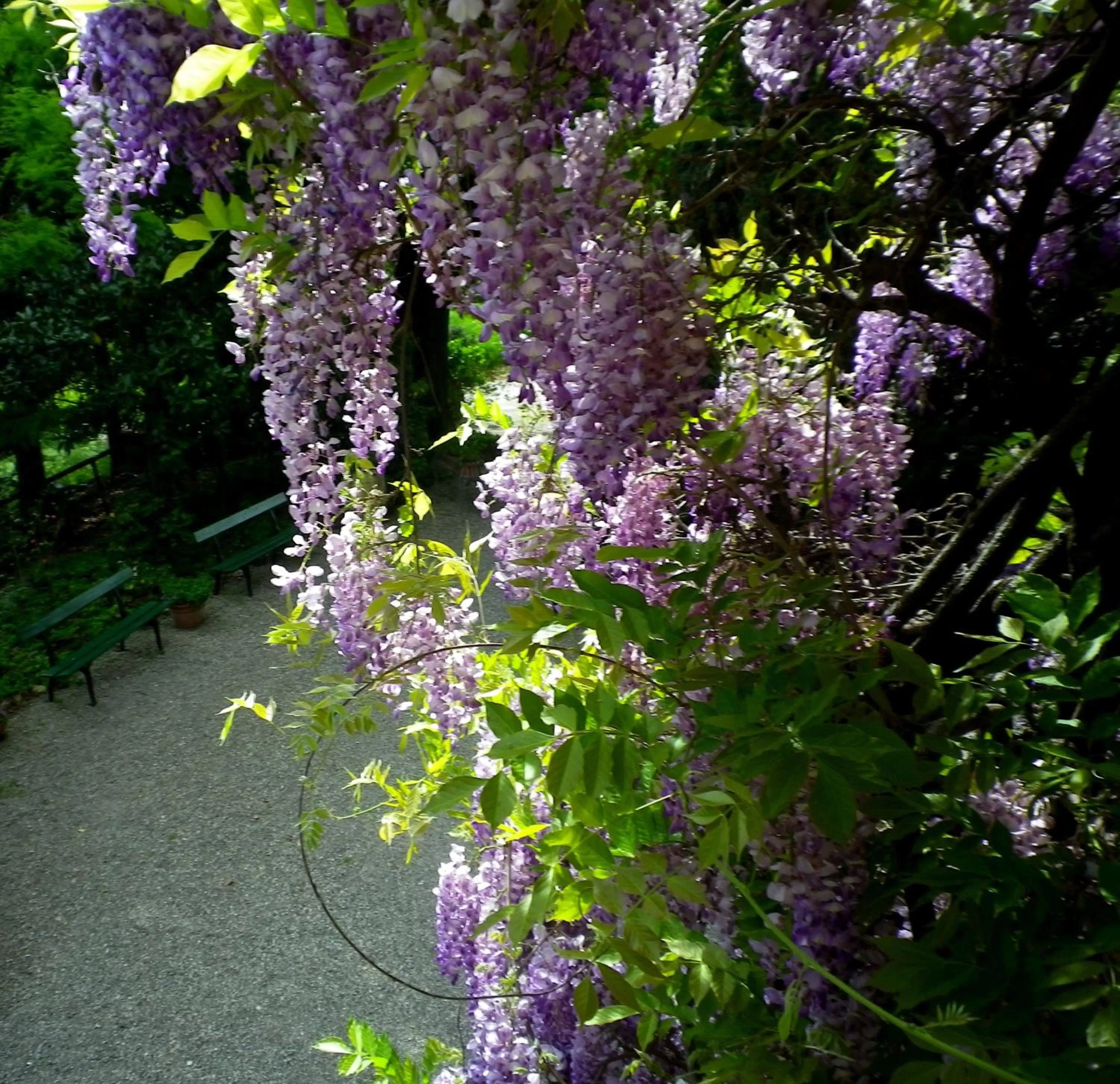 Bird's eye view in Le Querce Hotel