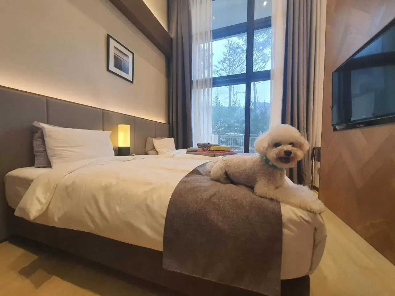 Photo of the whole room, Bed in Pyeongchang Ramada Hotel & Suite by Wyndham