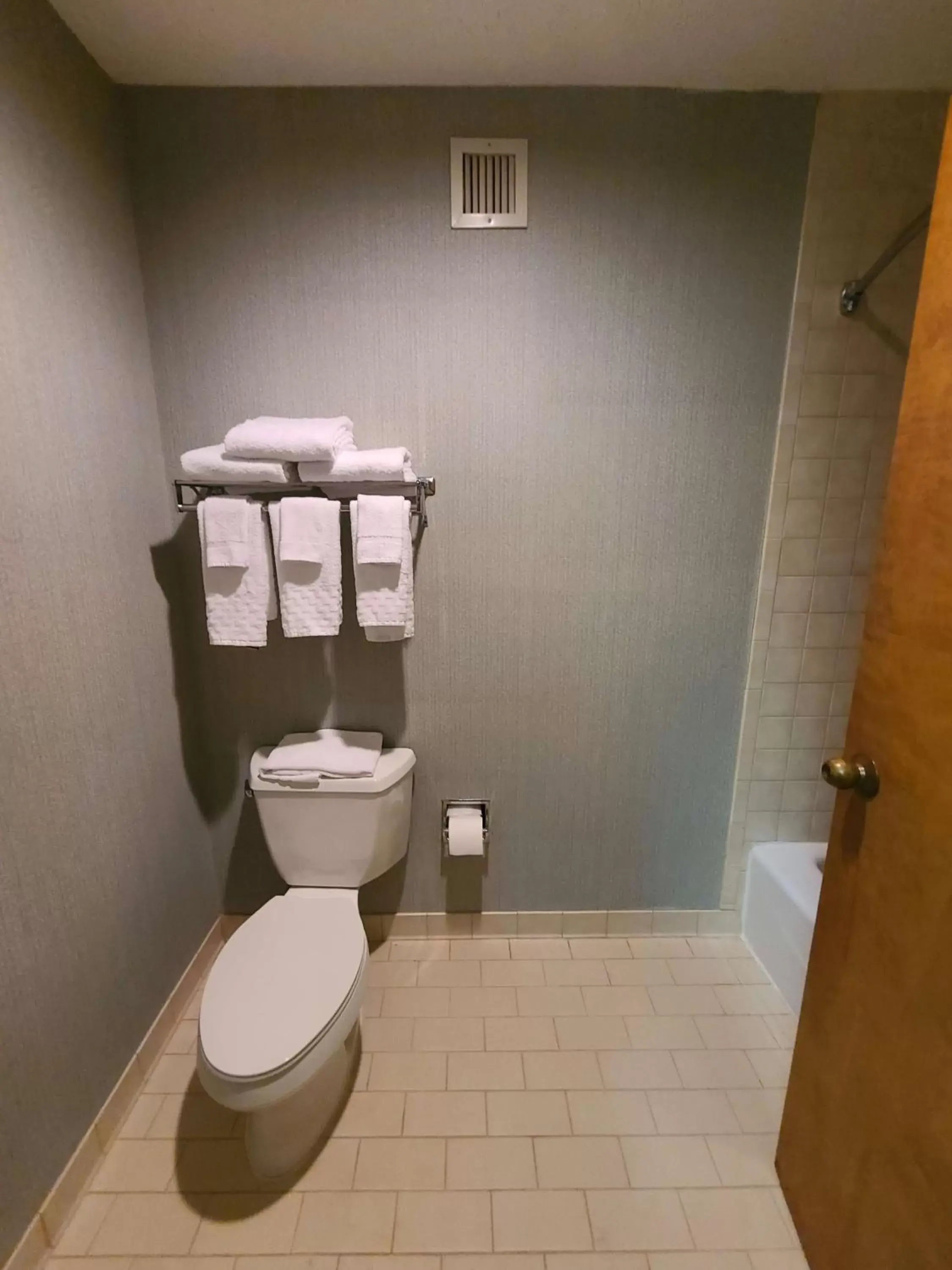 Bathroom in Best Western Hickory