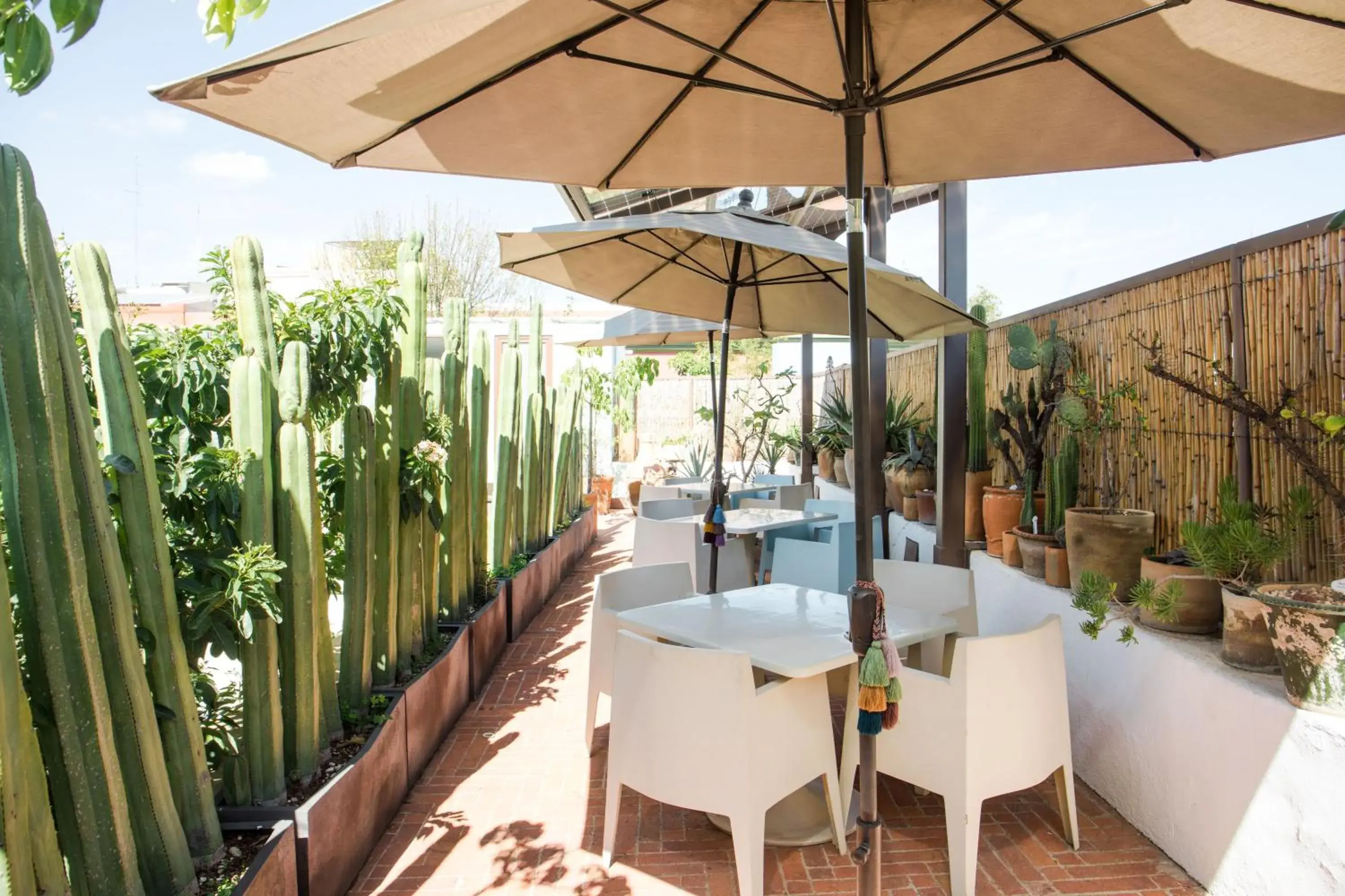 Balcony/Terrace, Restaurant/Places to Eat in Casa De Sierra Azul