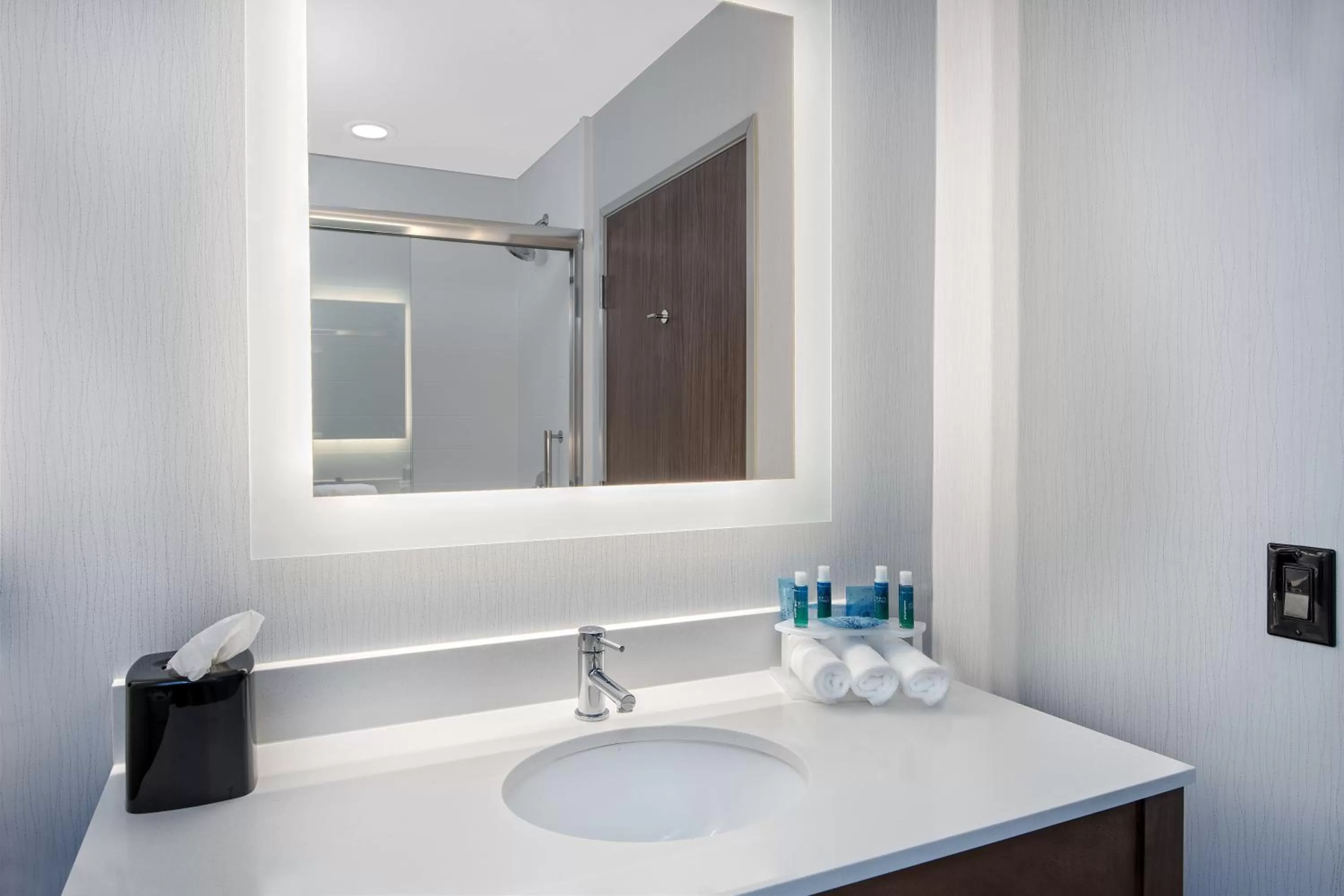 Bathroom in Holiday Inn Express & Suites Round Rock - Austin N by IHG