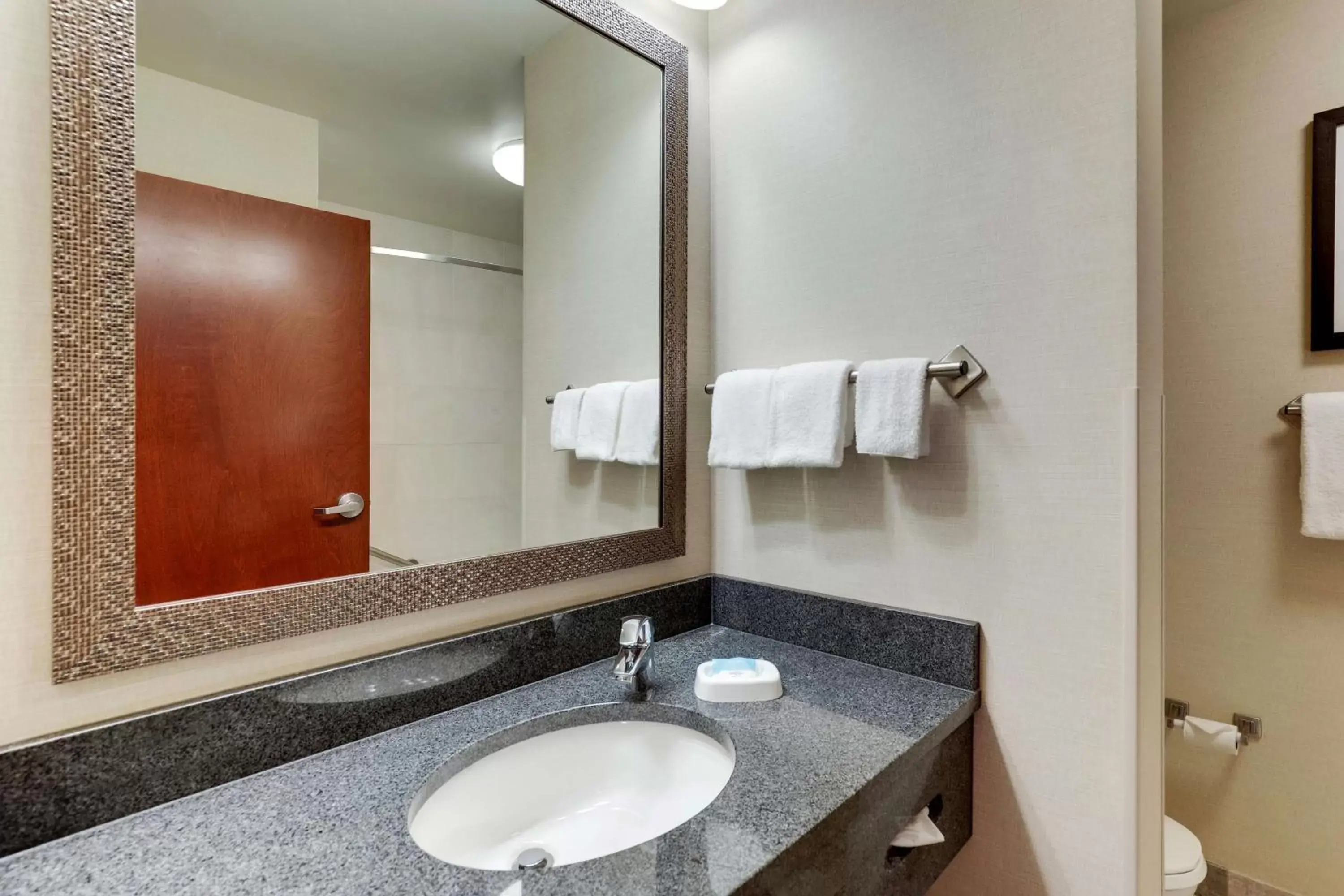 Bathroom in Drury Inn & Suites Independence Kansas City
