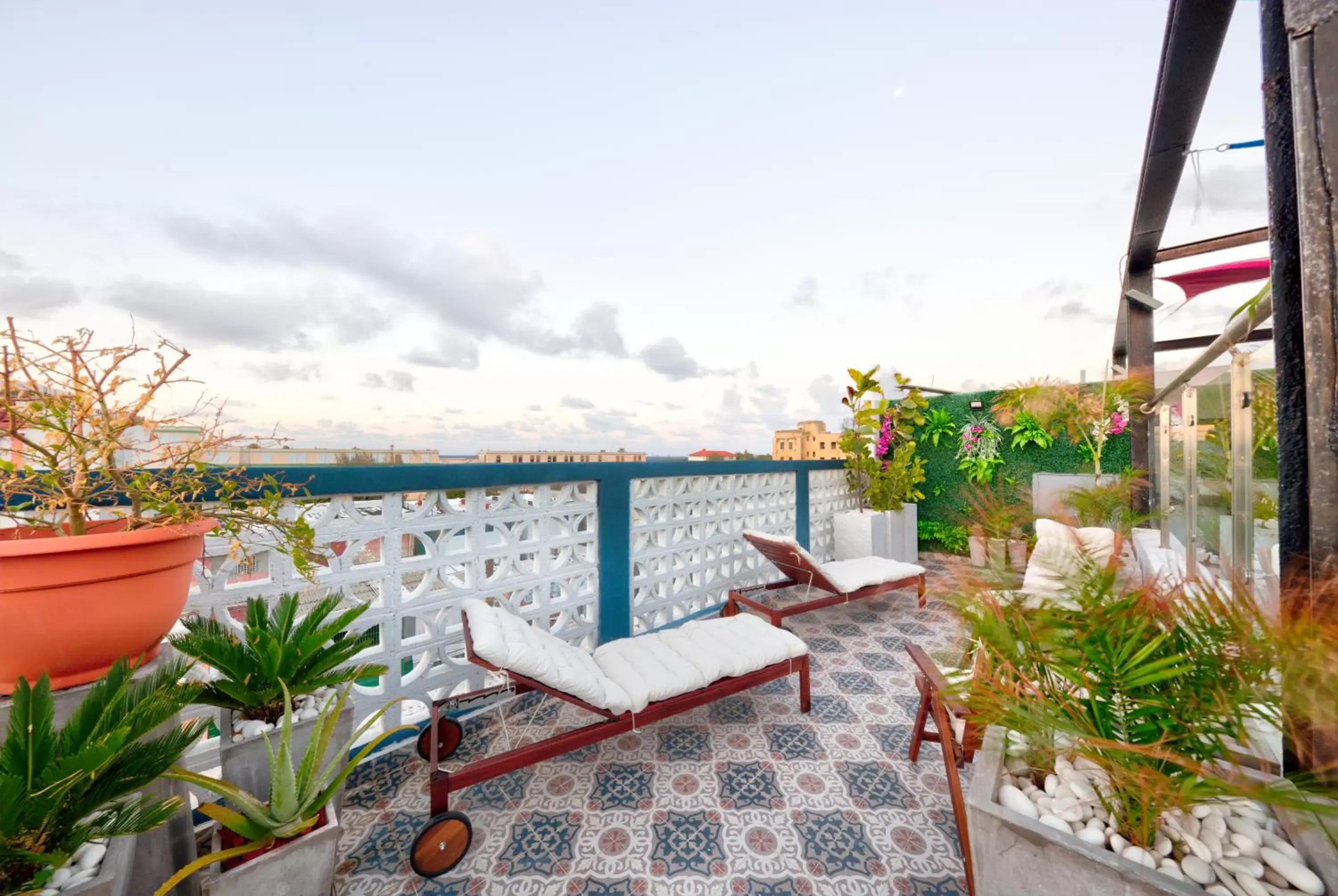 Balcony/Terrace in Puerto Valdes