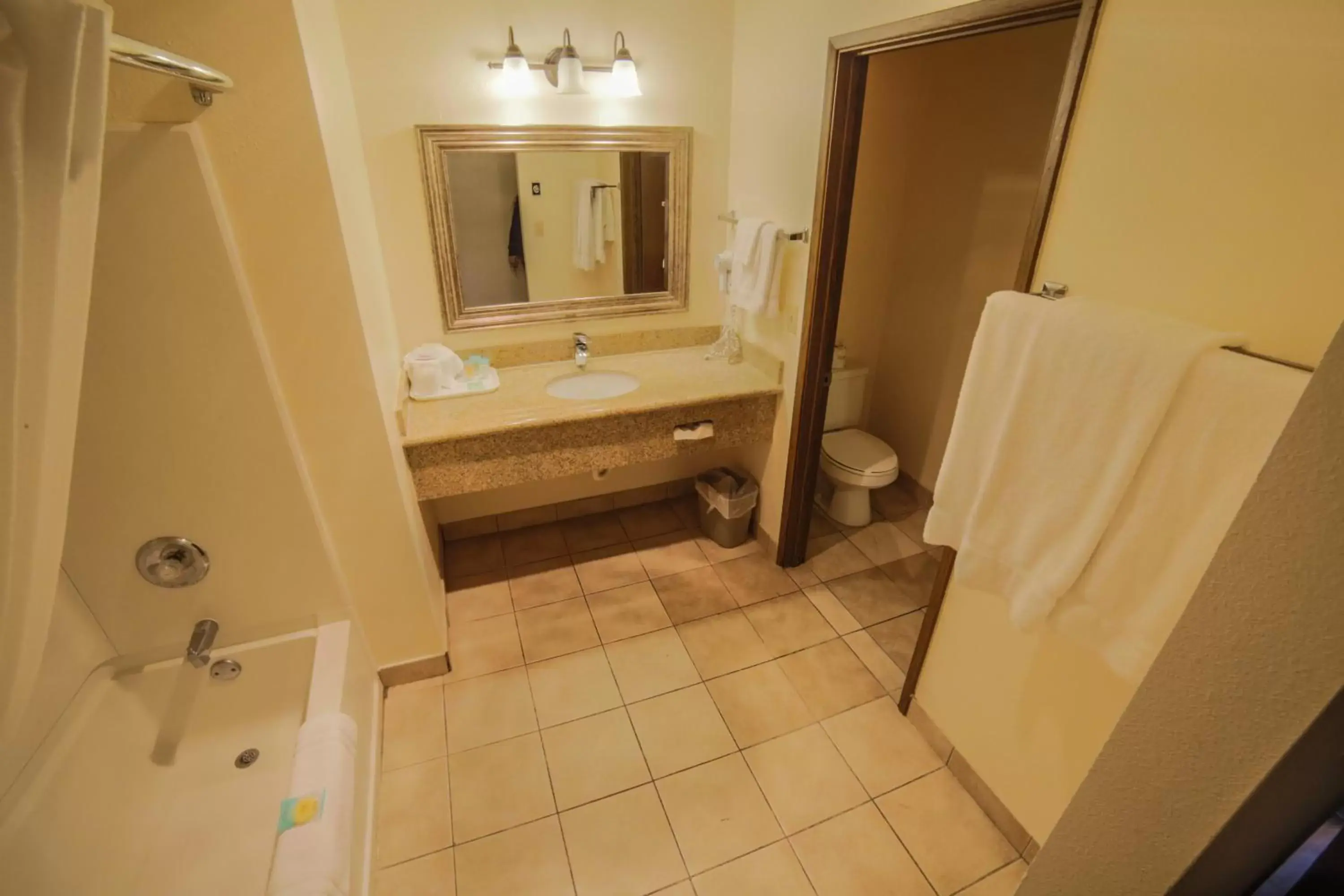 Bathroom in Sunnyside Inn and Suites