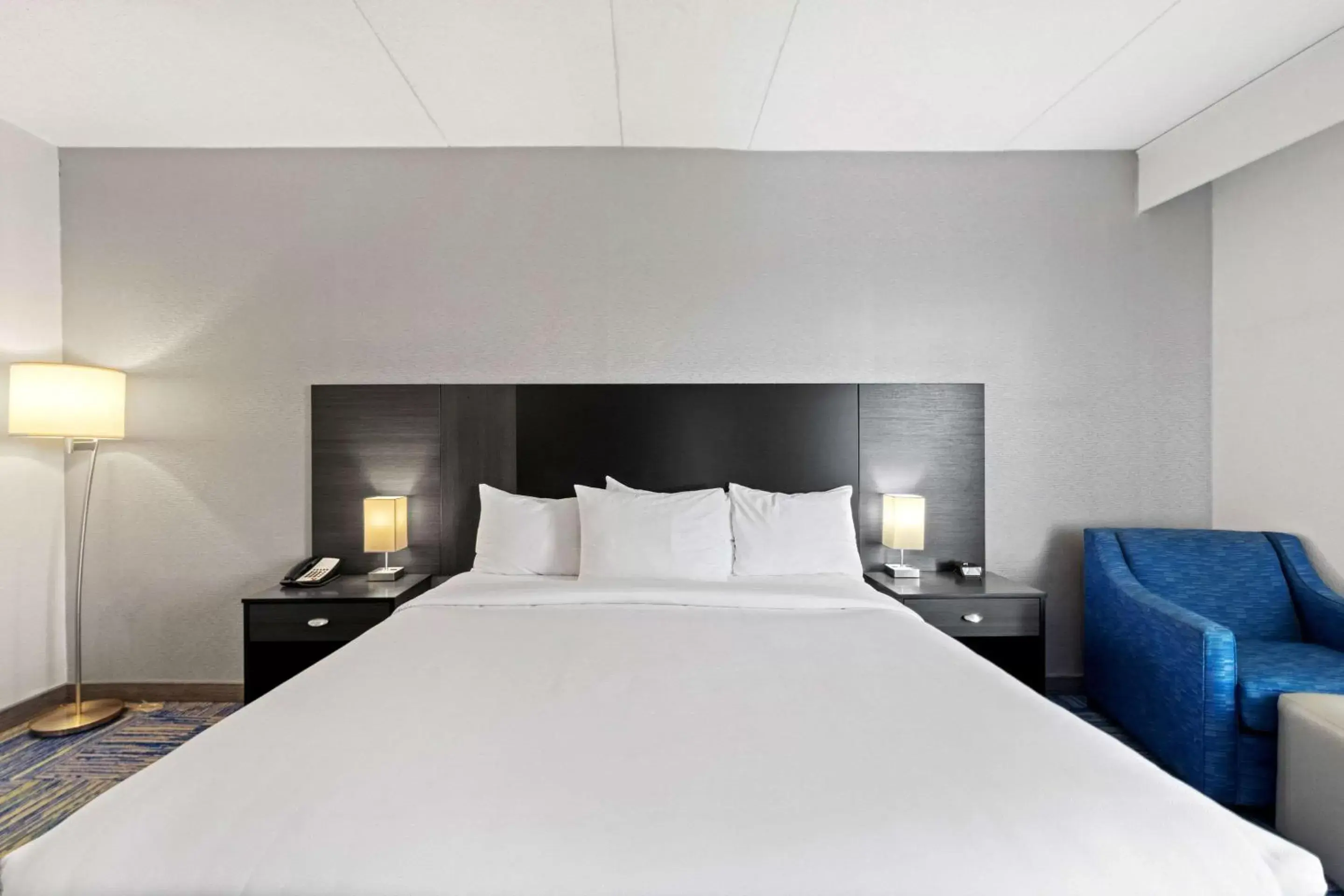 Bedroom, Bed in Allentown Park Hotel, Ascend Hotel Collection