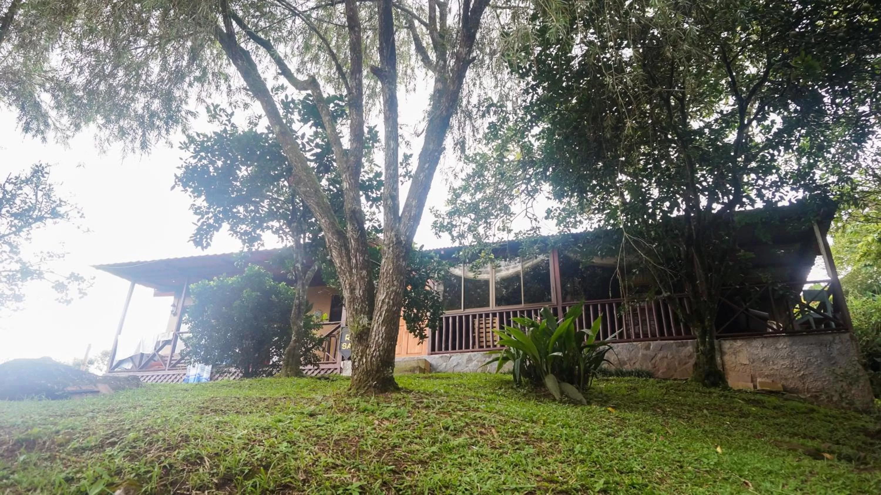 Garden in Hospedaje La Naciente