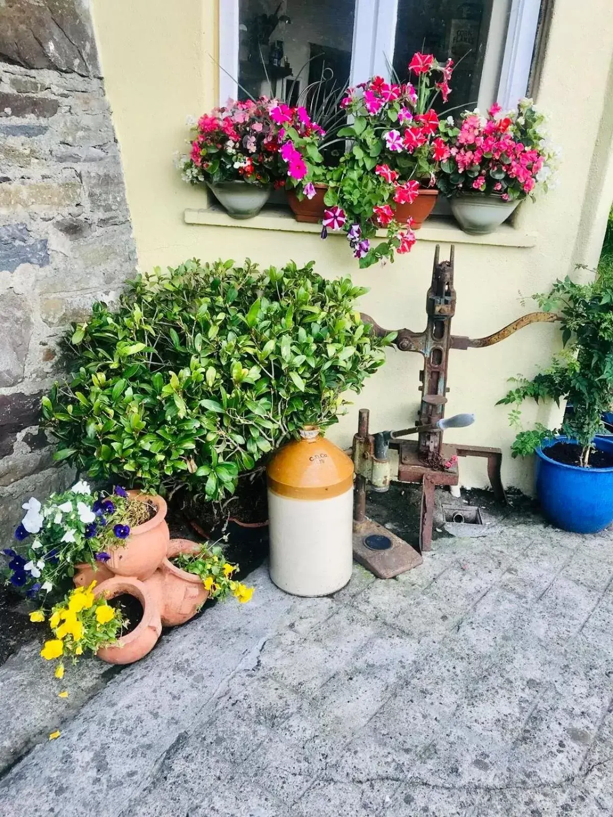 Garden in The Tower House B&B