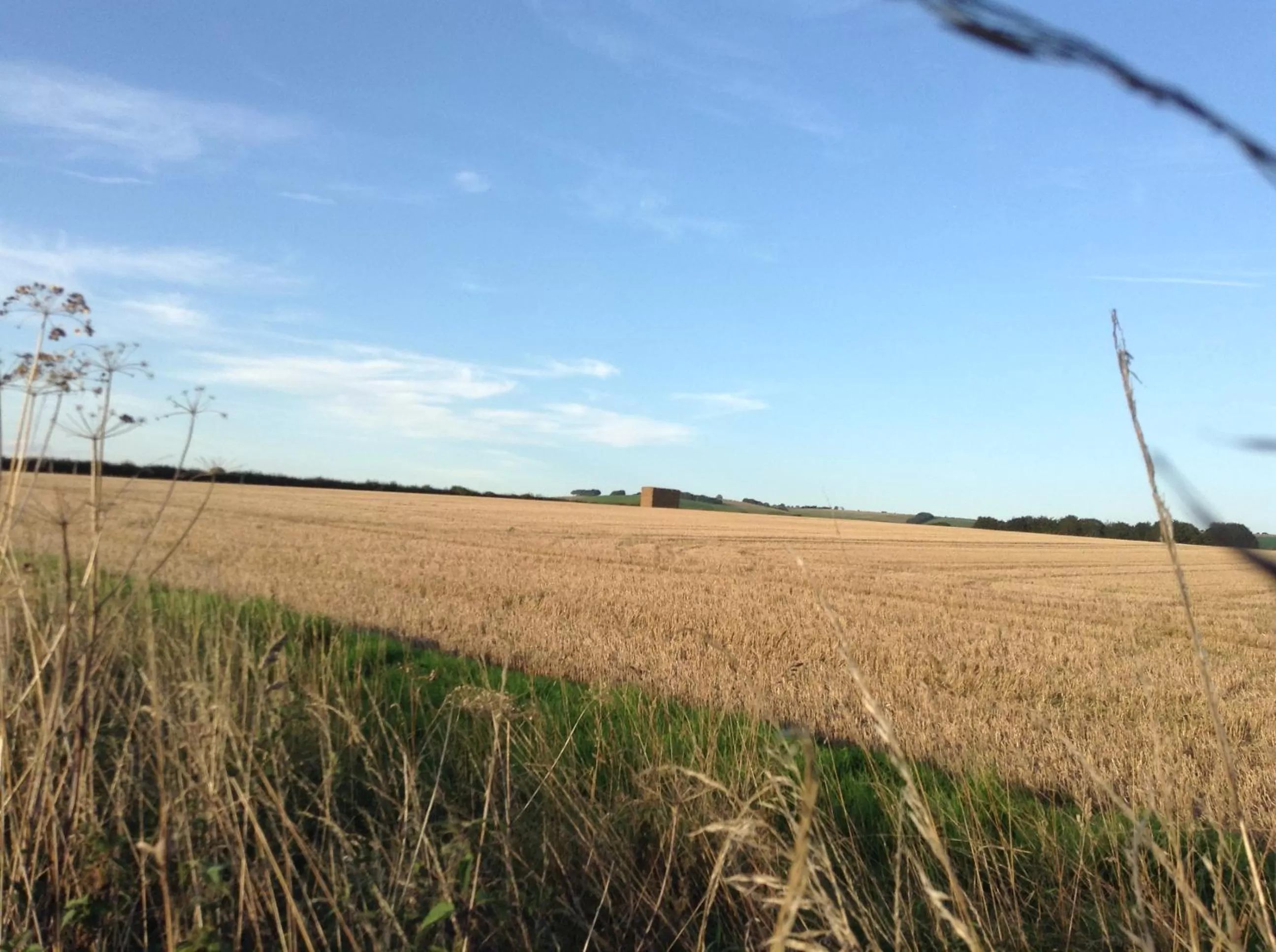 Natural Landscape in B&B Dorwyn Manor
