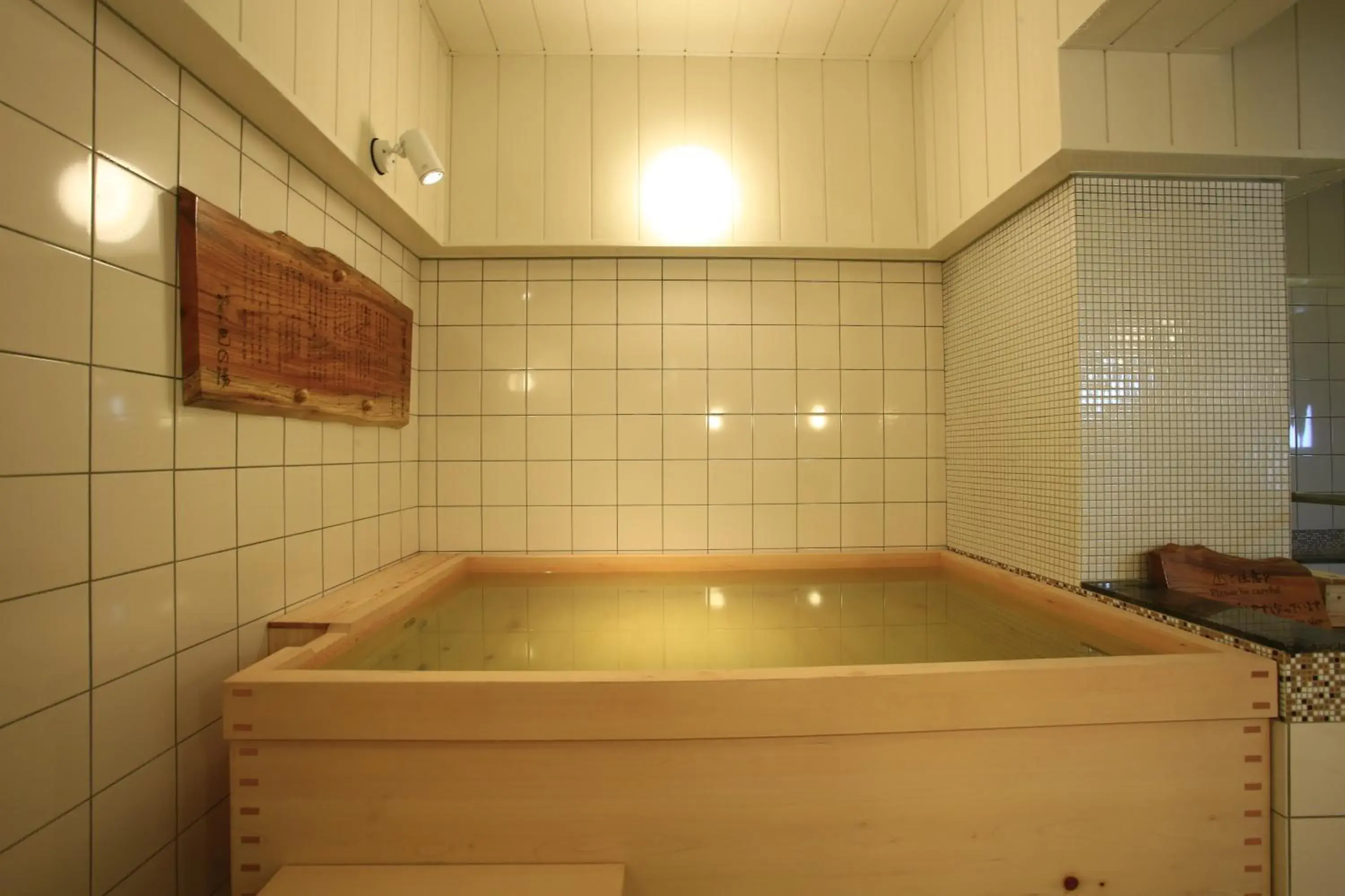 Public Bath, Swimming Pool in Hotel New Station