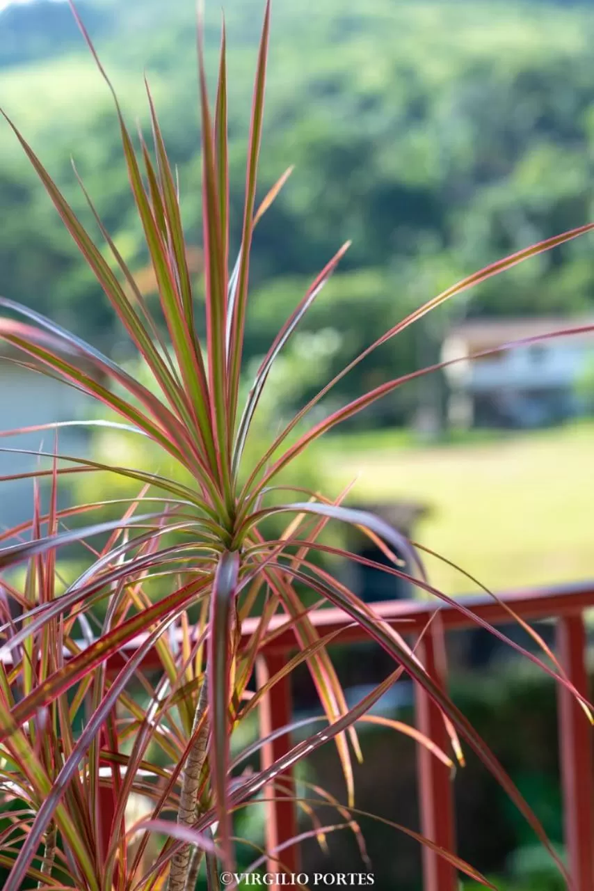 Pousada Recanto da Lu