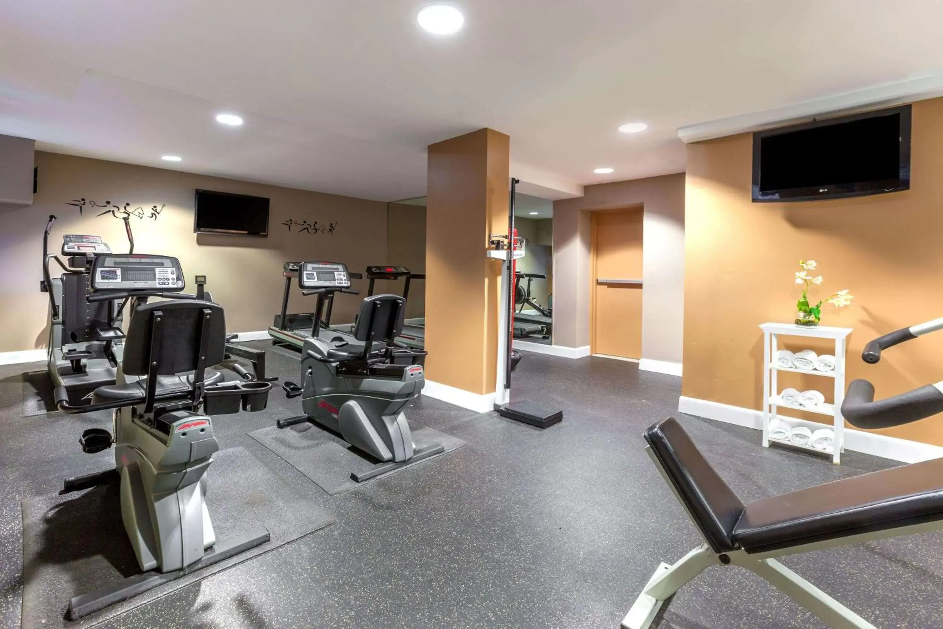 Fitness centre/facilities, Fitness Center/Facilities in Ramada by Wyndham Jersey City