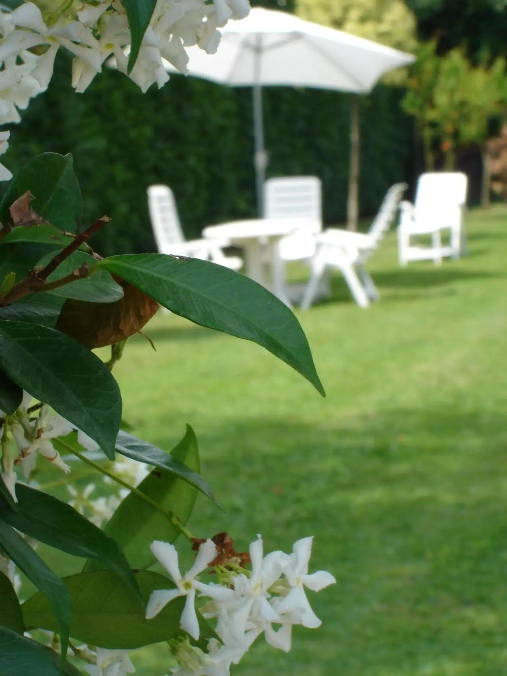 Patio, Garden in La Casa di Linda