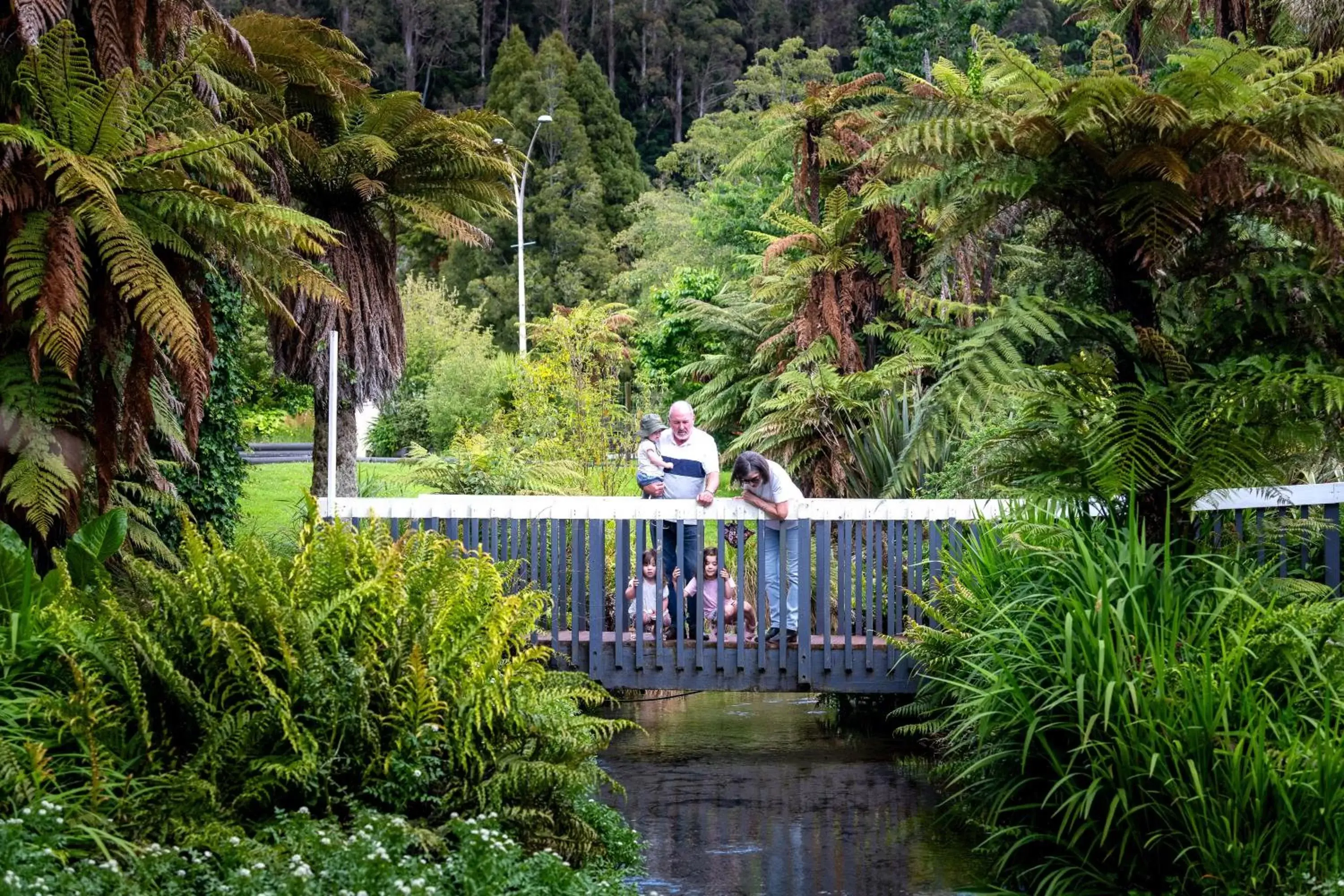 River view in Best Western Braeside Rotorua