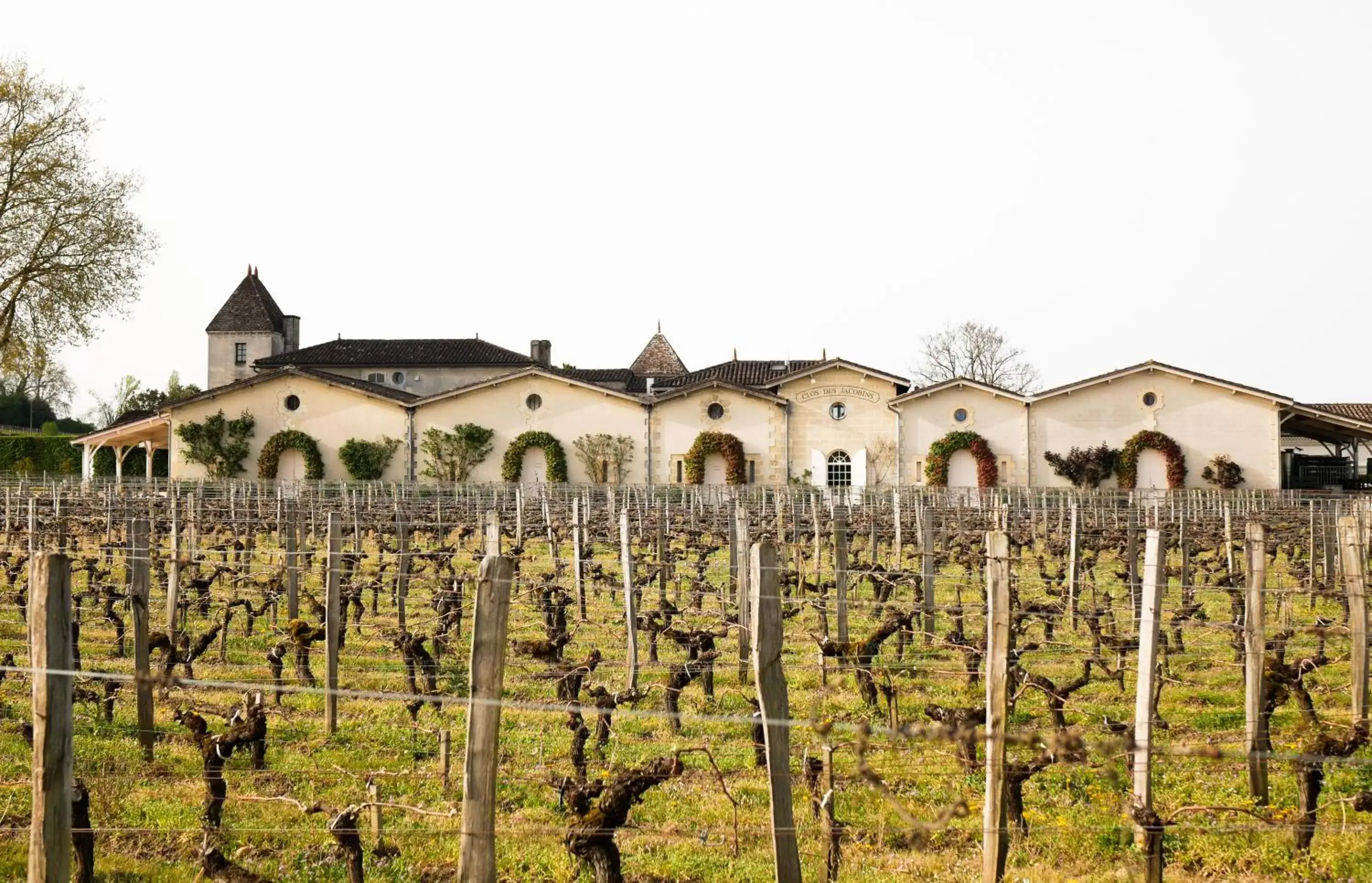 Property Building in Clos des Jacobins (Grand Cru Classé)