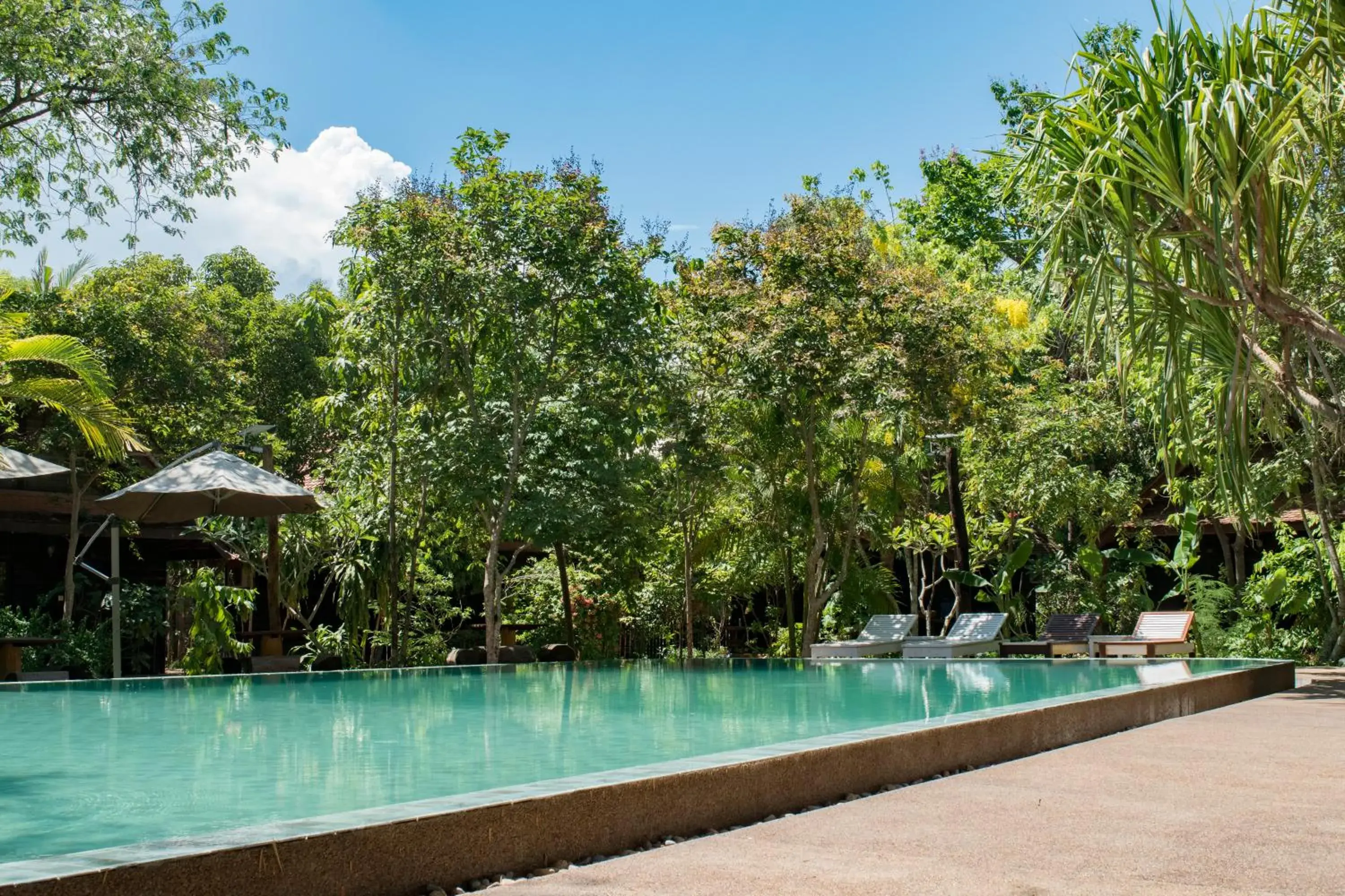 Garden, Swimming Pool in Palm Village Resort & Spa