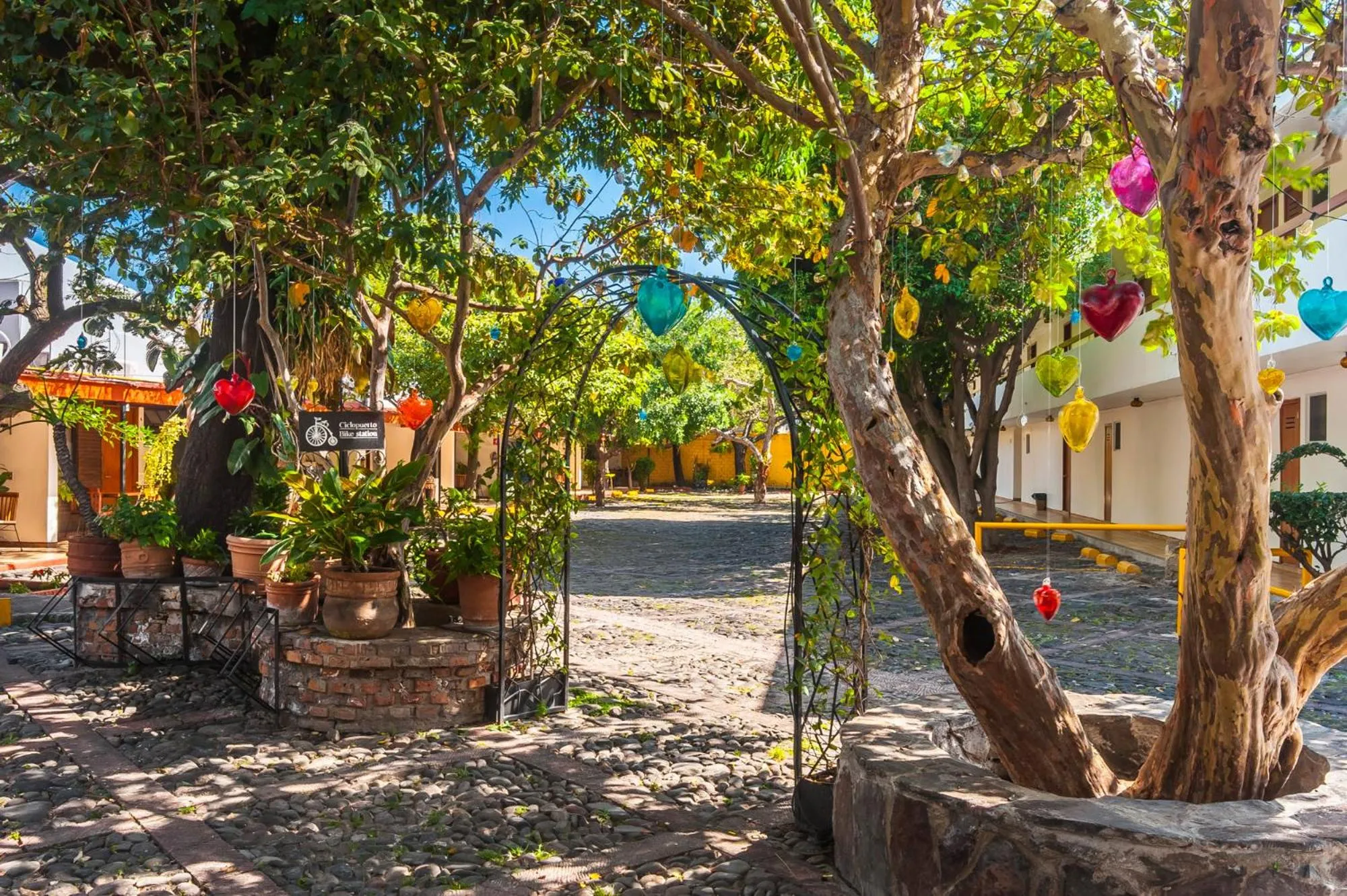 Natural landscape in Hotel Isabel