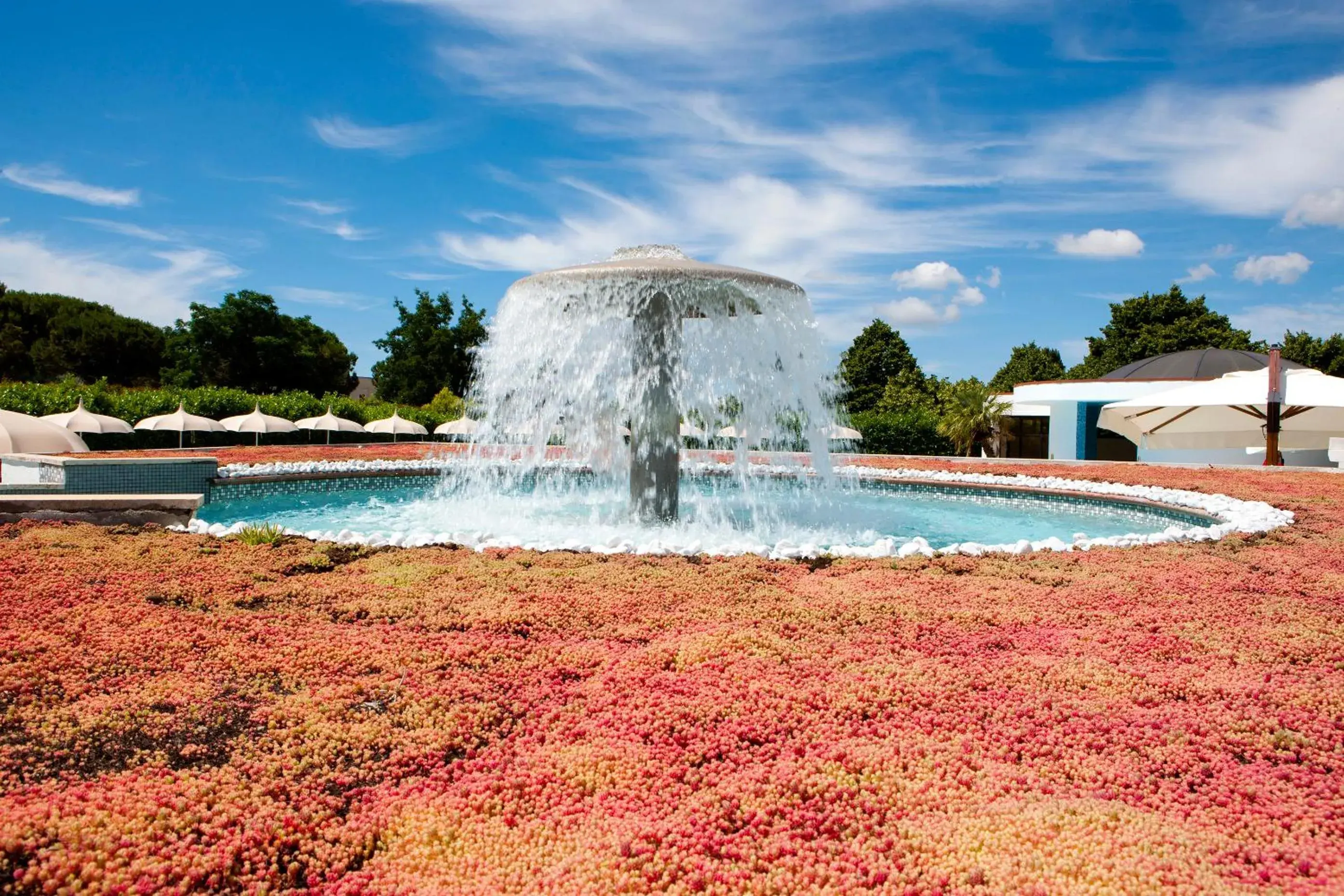 Swimming pool, Property Building in Hotel Salus Terme