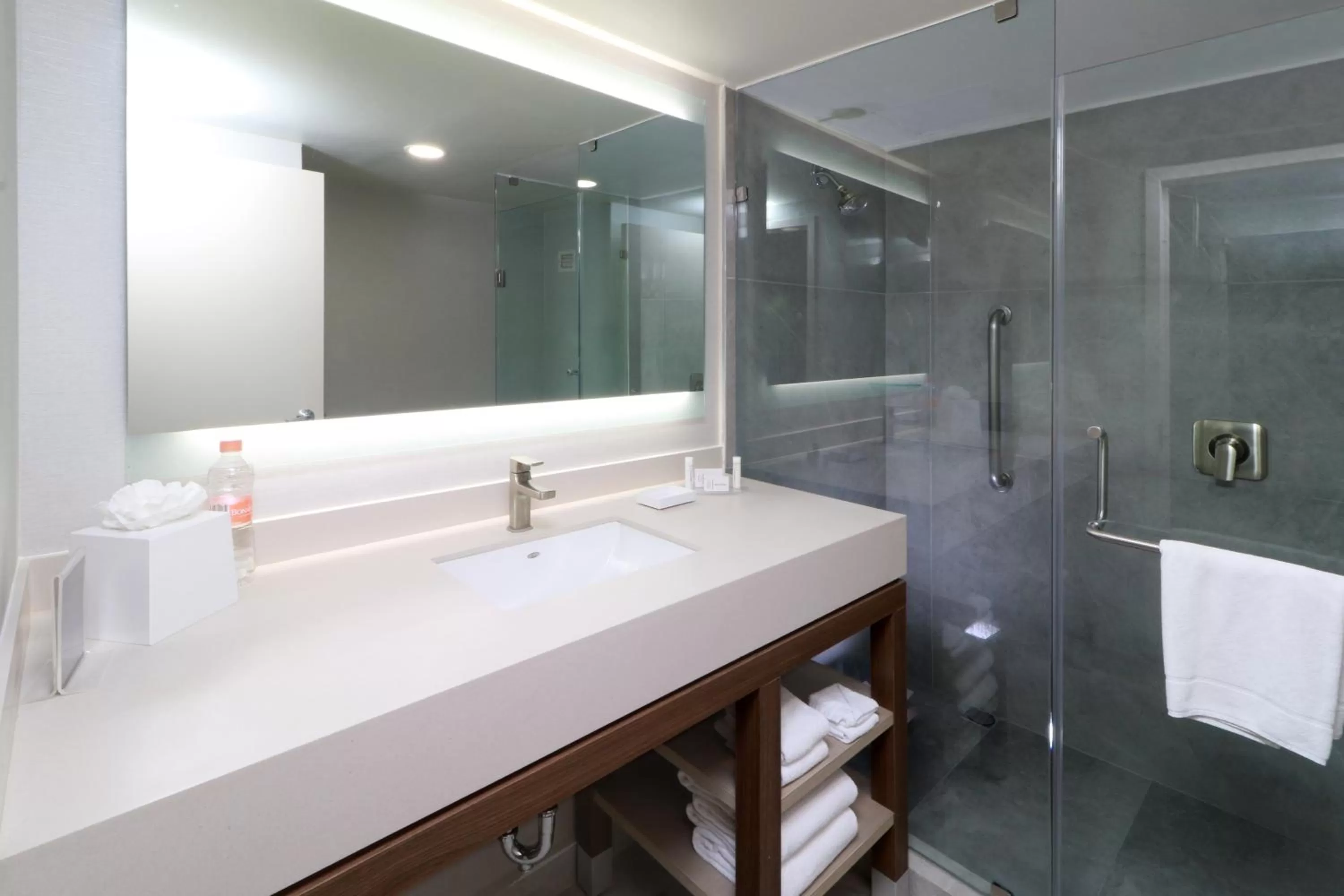 Shower in Courtyard Monterrey Airport