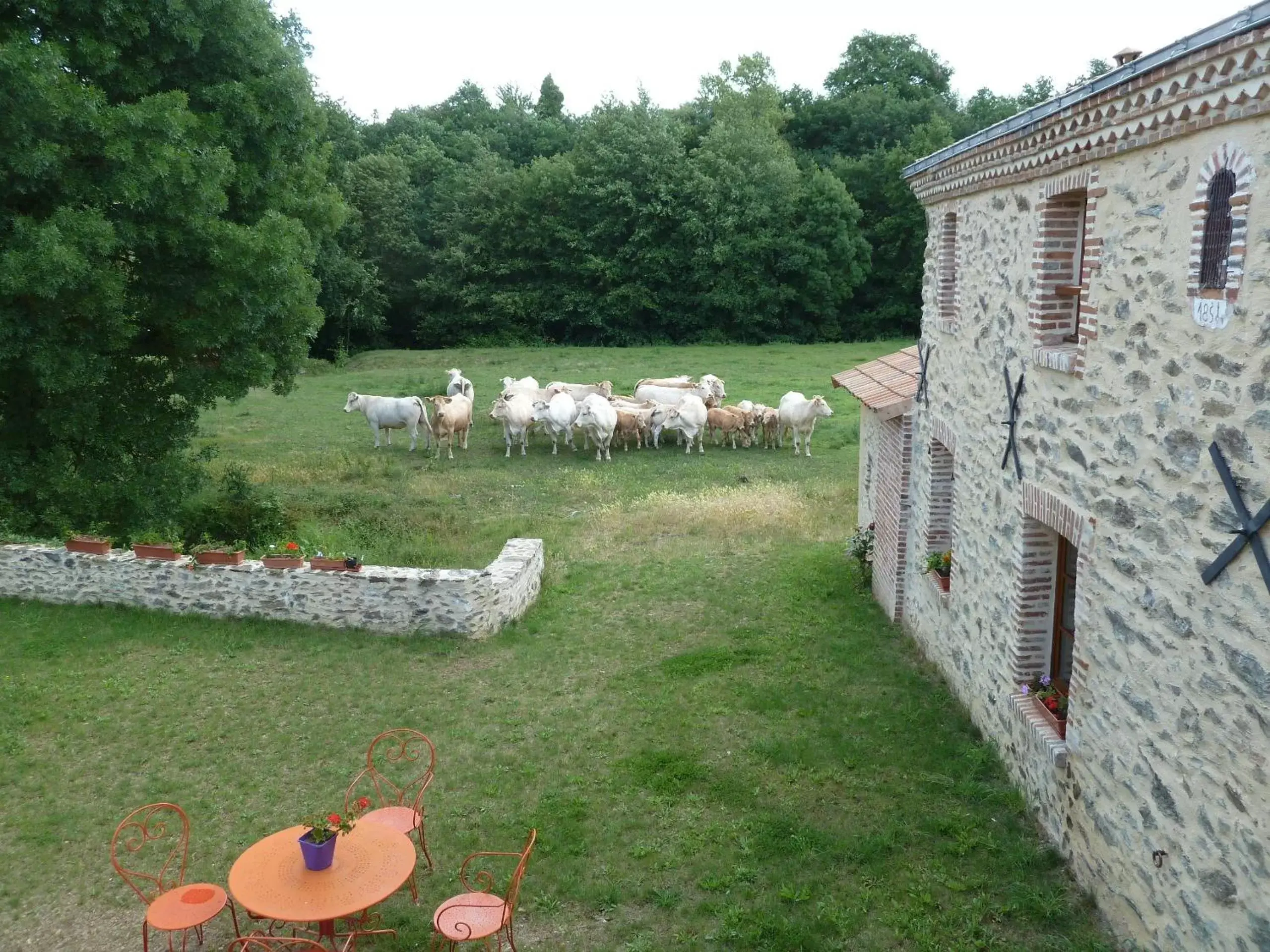 Animals, Garden in Moulin de Drapras