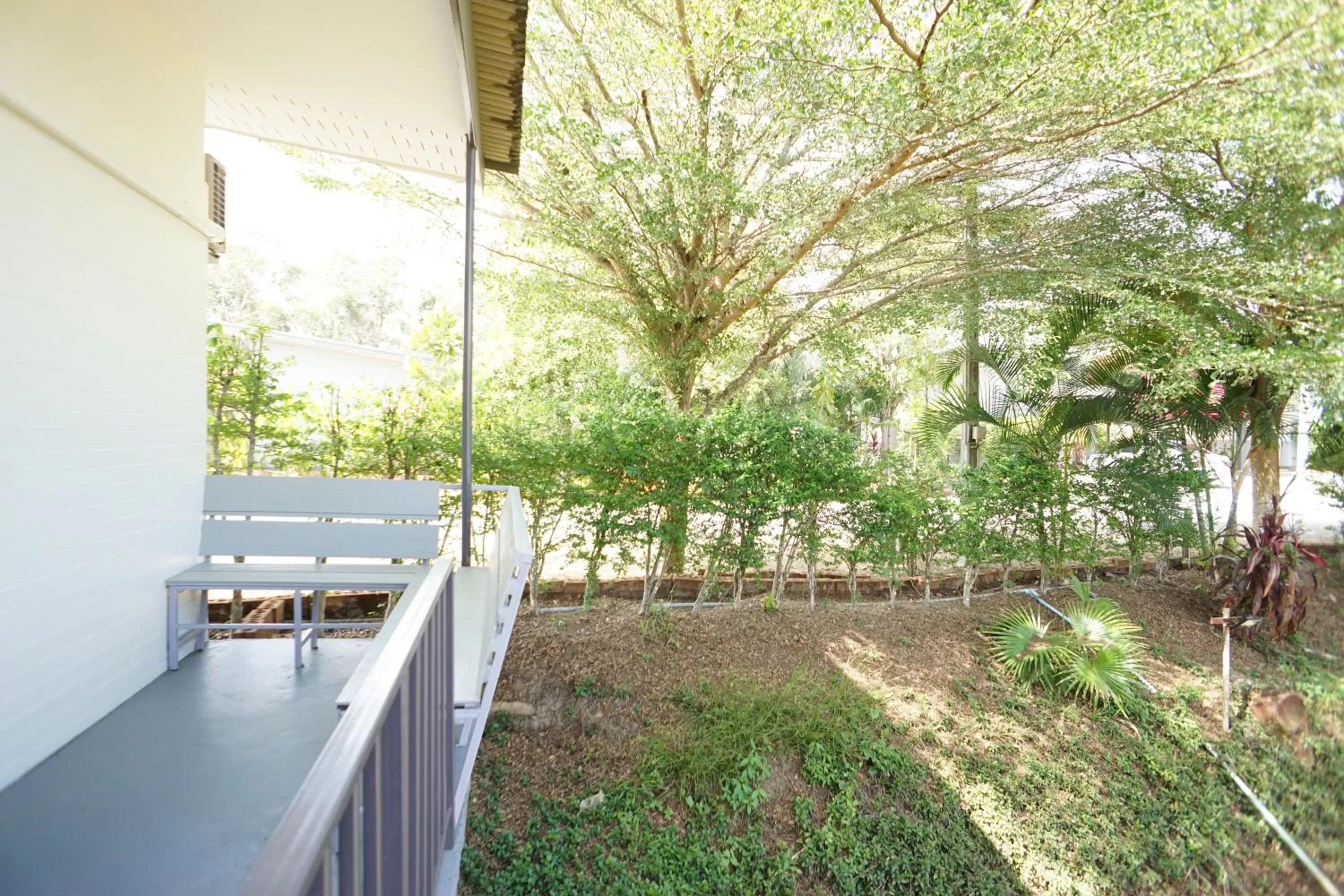 แกรนด์ ฟอเรสท์ Grand Forest