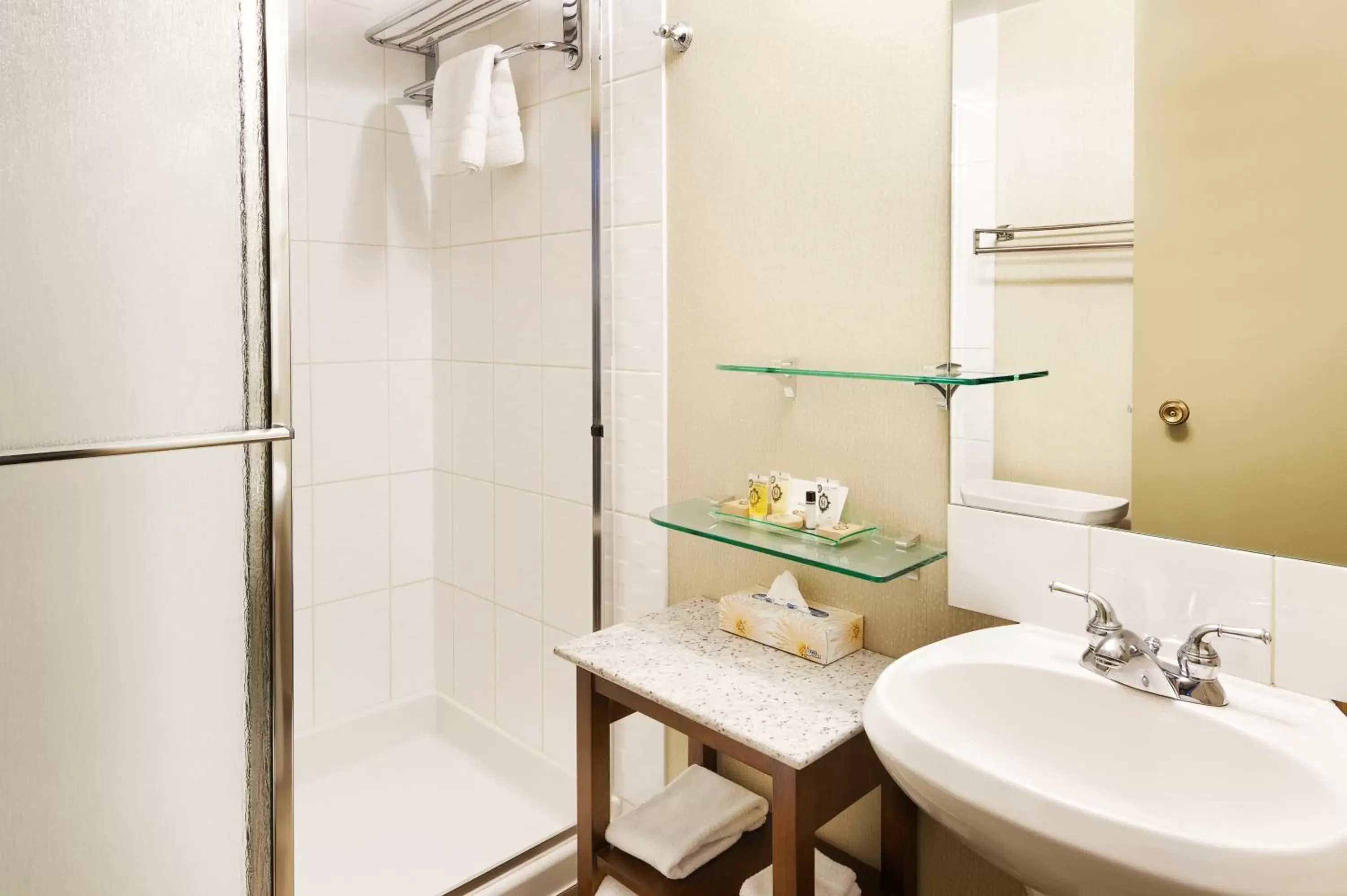 Shower, Bathroom in Carriage House Hotel and Conference Centre