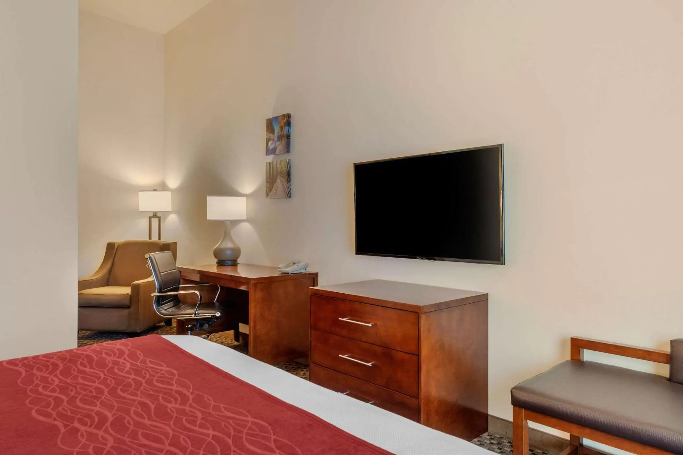 Photo of the whole room, TV/Entertainment Center in Comfort Inn & Suites Fort Myers Airport