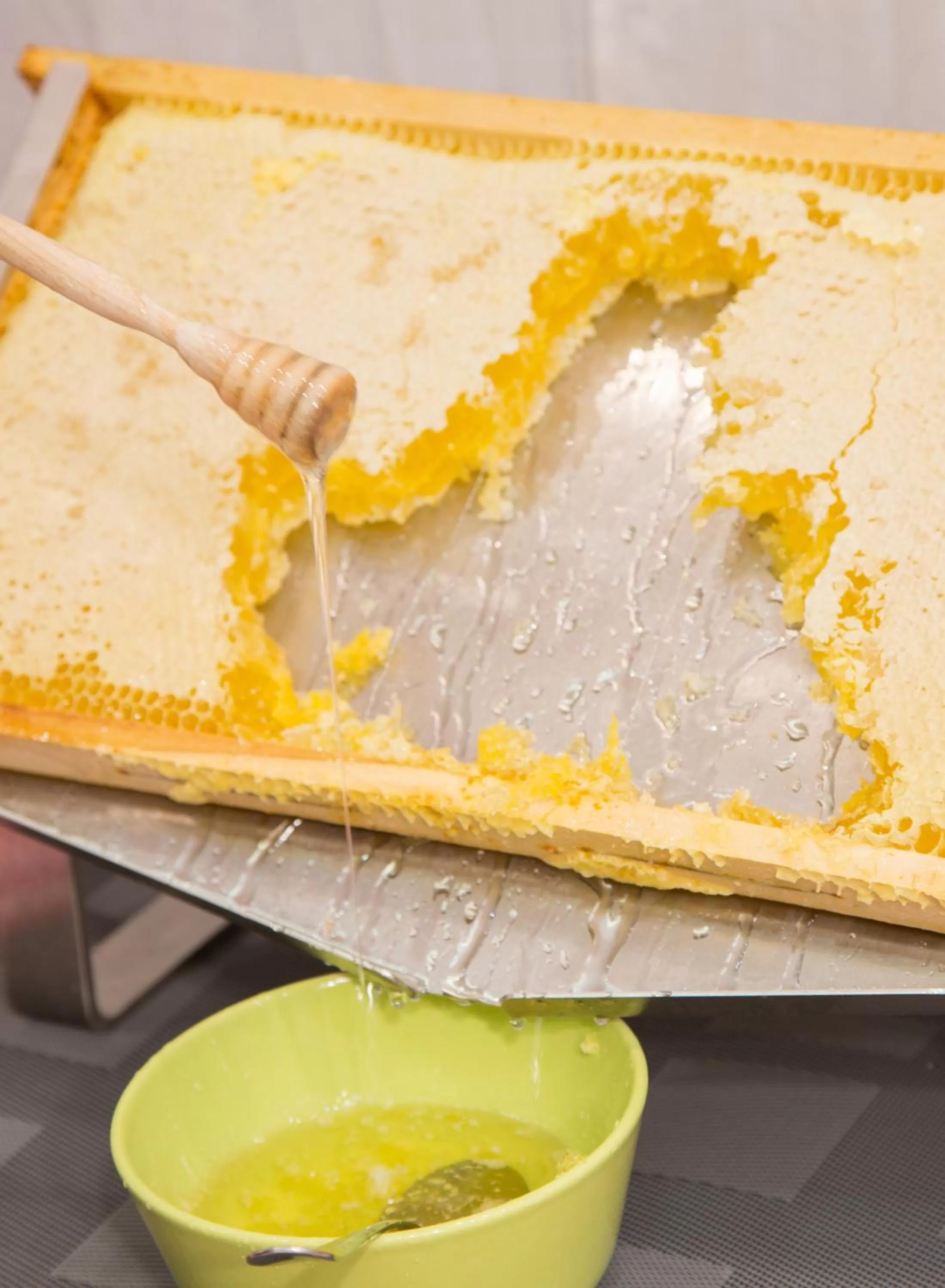 Restaurant/places to eat in Holiday Inn Bologna - Fiera by IHG