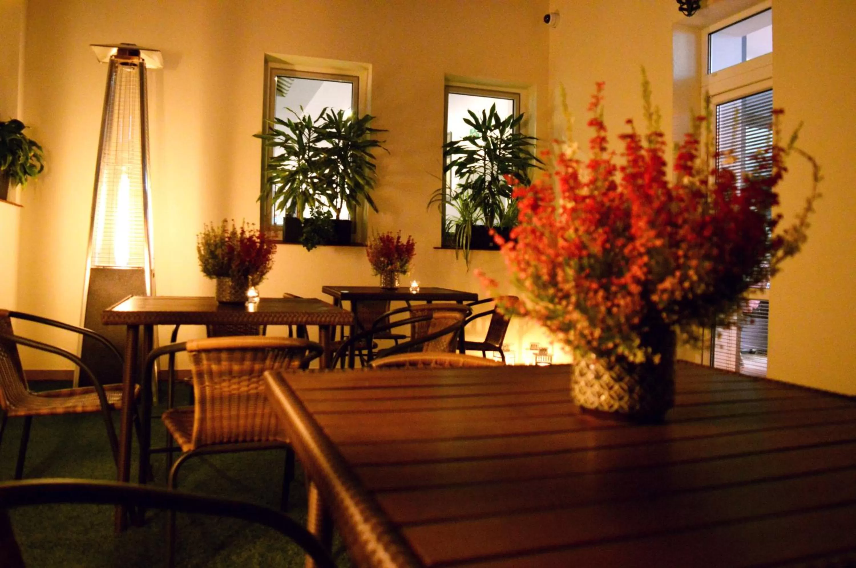 Patio in Tailor Hotel Sport & Conference